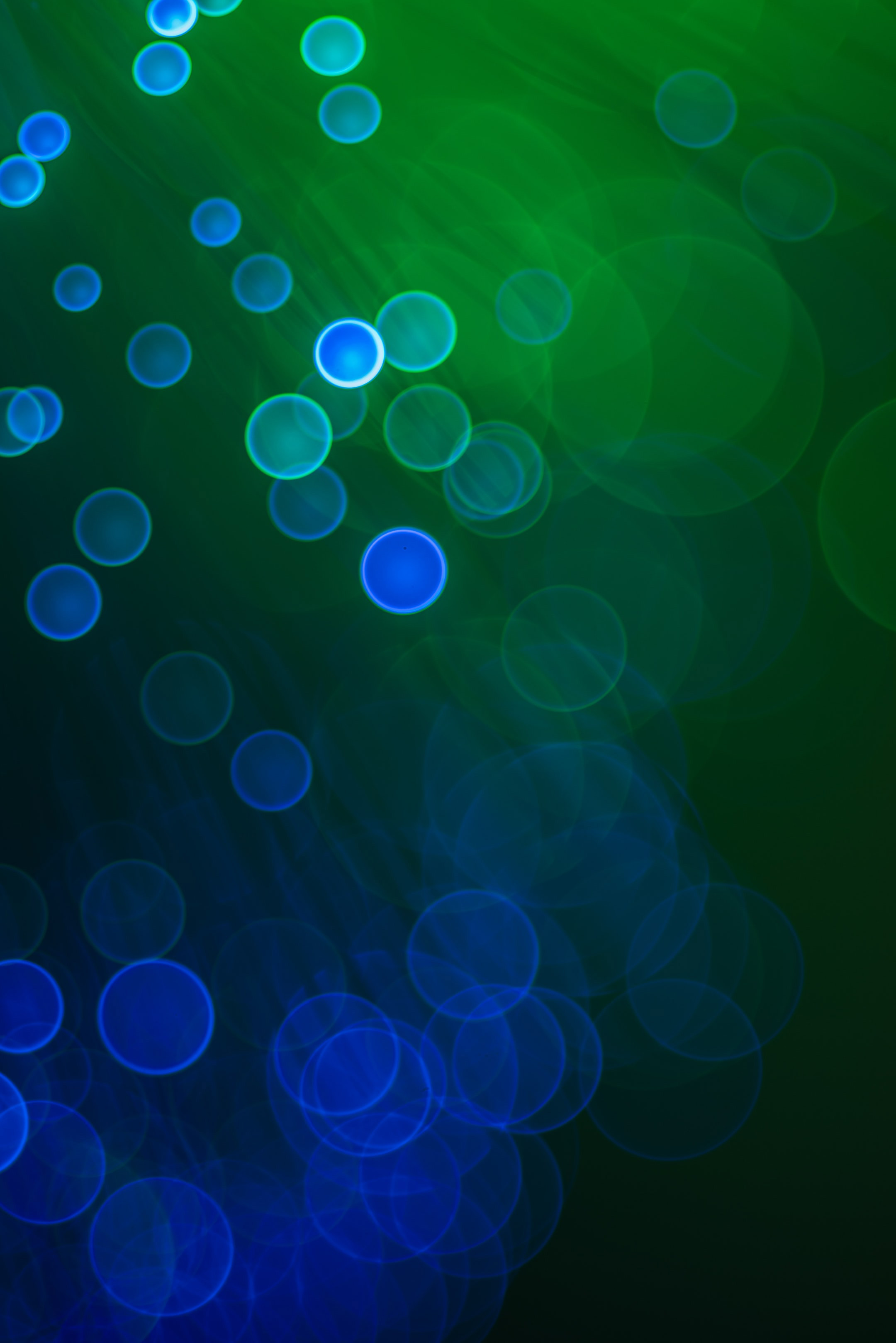 glare, bokeh, abstract, circles, boquet wallpapers for tablet