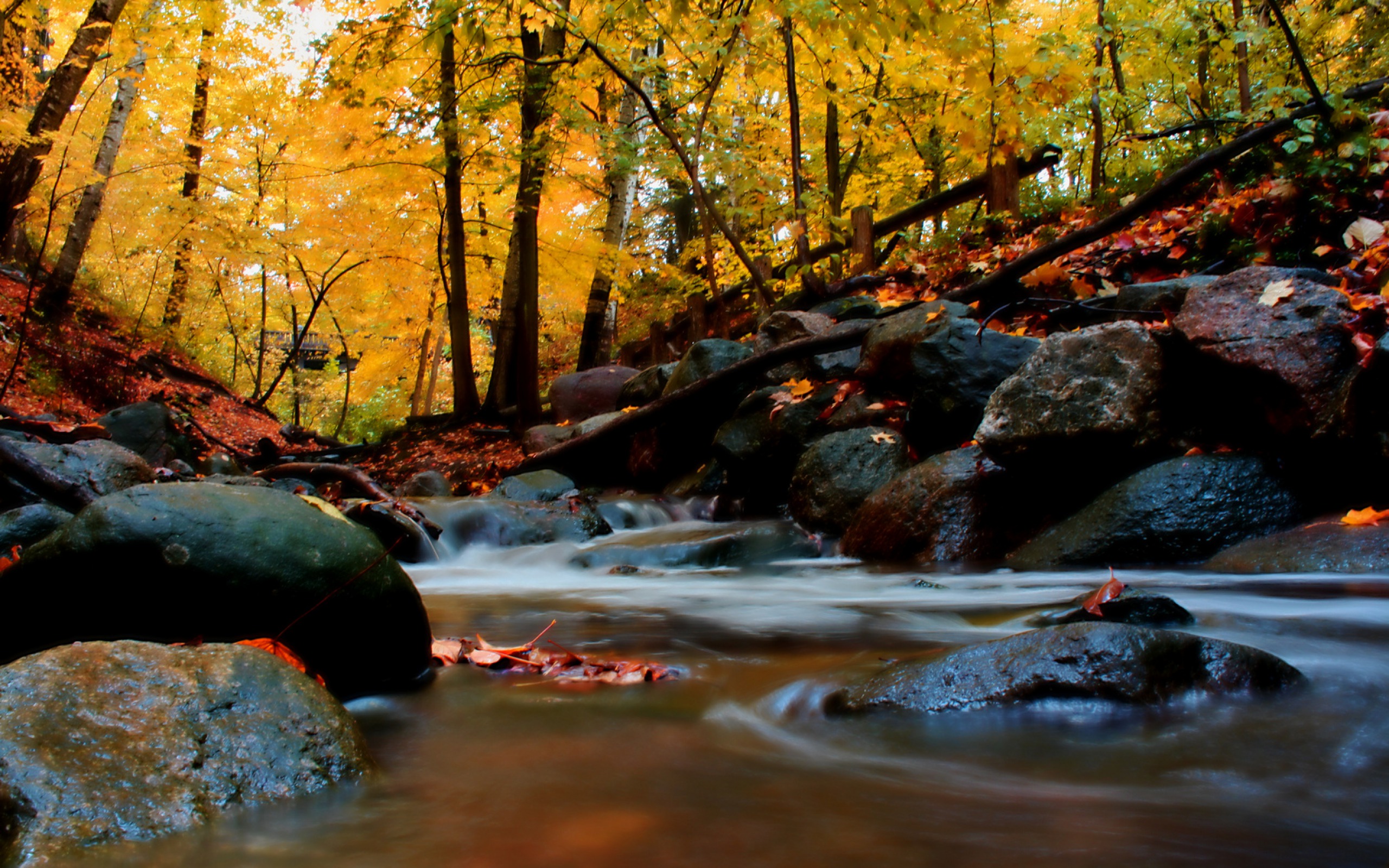 Handy-Wallpaper Fluss, Erde/natur kostenlos herunterladen.