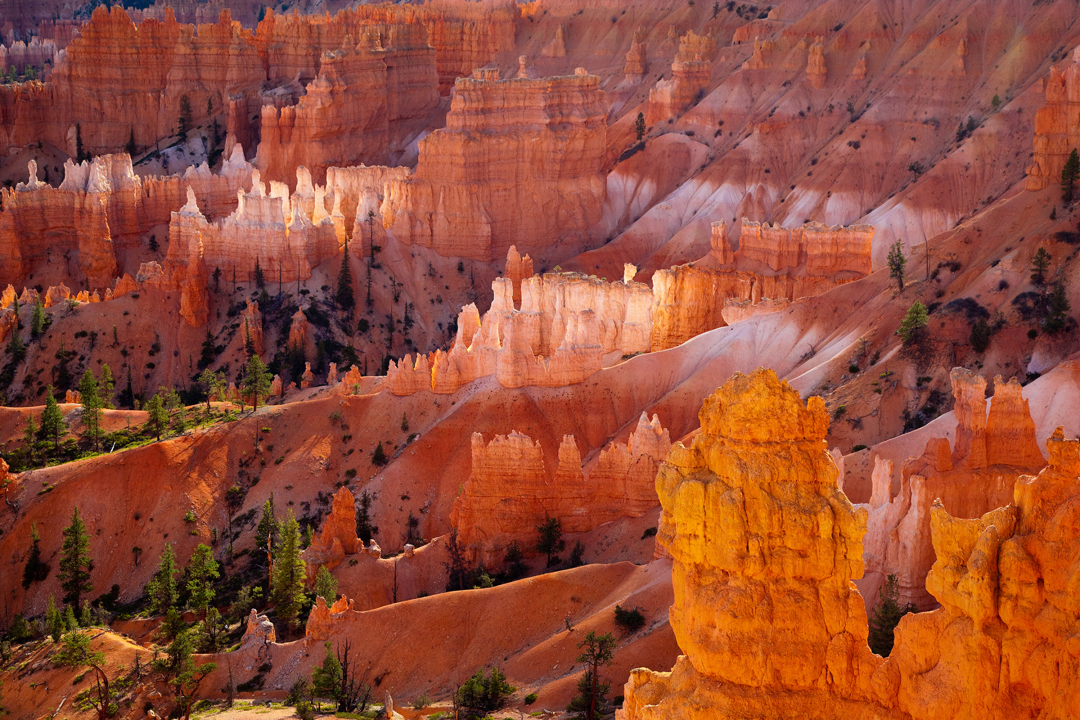 Download mobile wallpaper Earth, National Park, Bryce Canyon National Park for free.