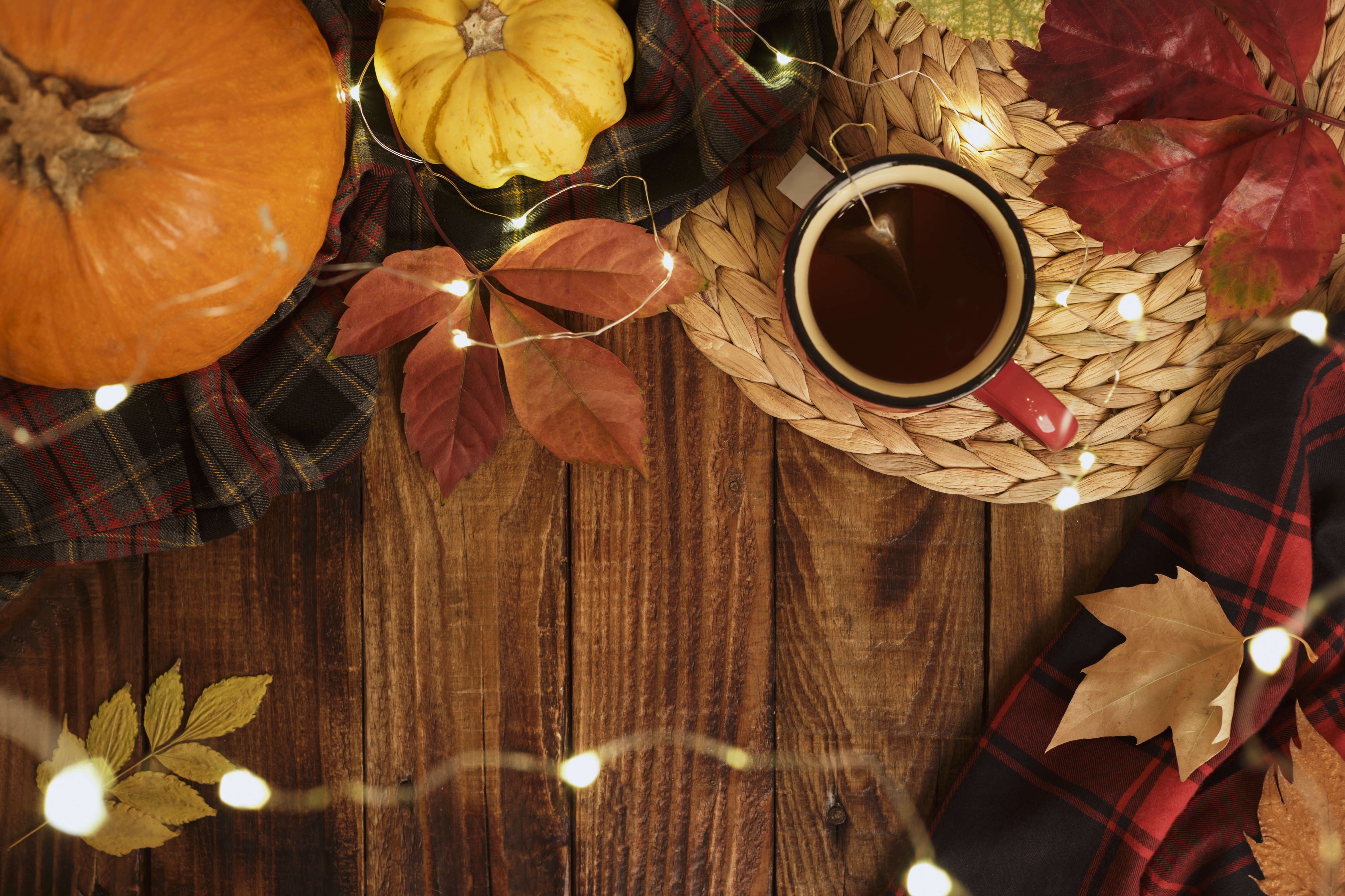 Download mobile wallpaper Food, Cup, Leaf, Fall, Drink, Tea for free.