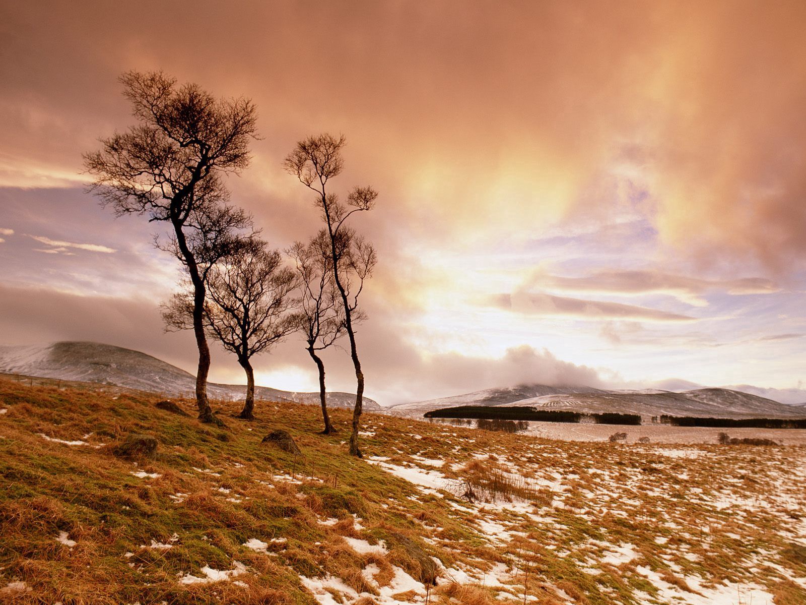 Laden Sie das Natur, Bäume, Grass, Sky, Steigung, Clouds, Schnee-Bild kostenlos auf Ihren PC-Desktop herunter