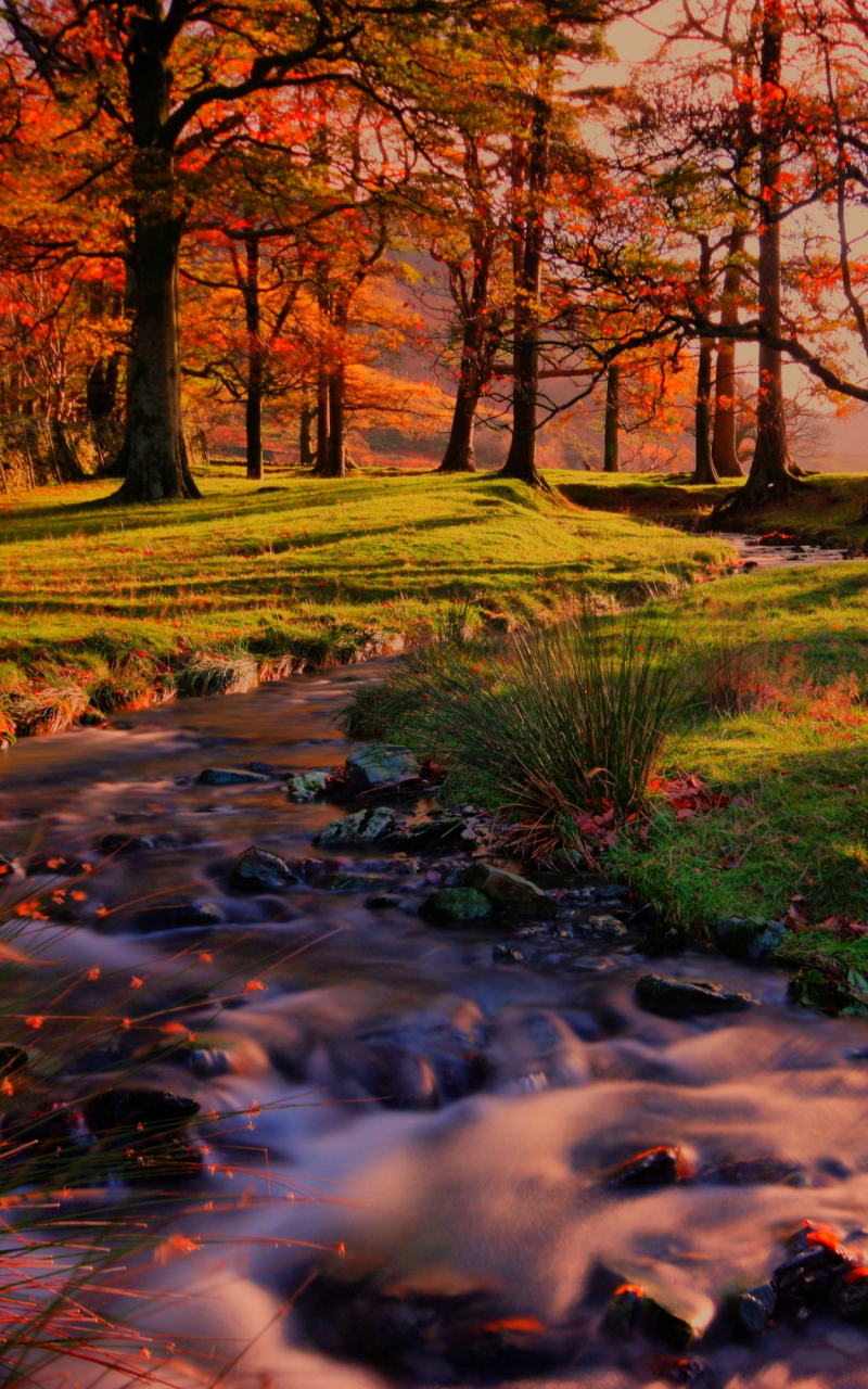 Download mobile wallpaper Park, Fall, Earth, River for free.