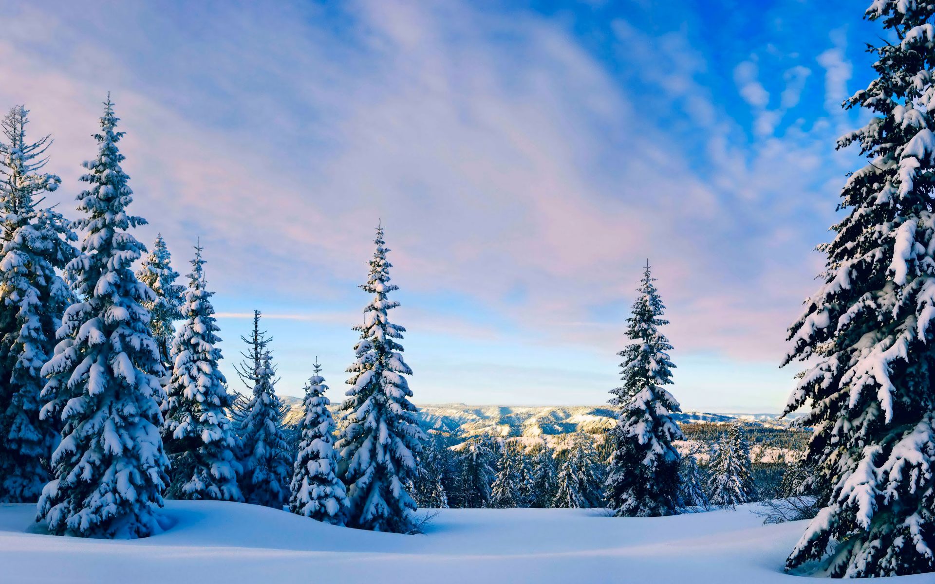 Laden Sie das Winter, Schnee, Wald, Baum, Erde/natur-Bild kostenlos auf Ihren PC-Desktop herunter