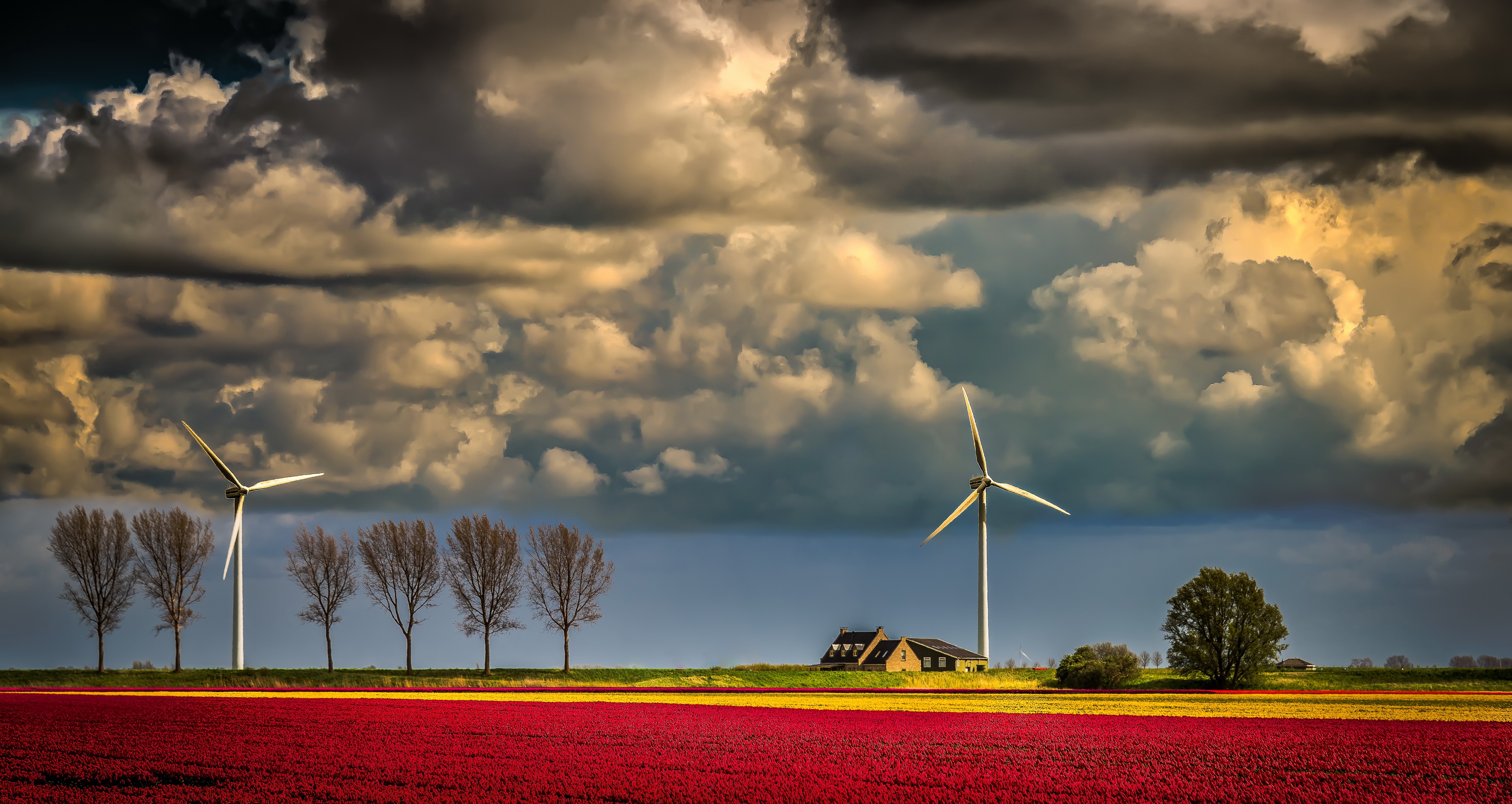 Download mobile wallpaper Sky, Summer, Field, Cloud, Wind Turbine, Man Made for free.