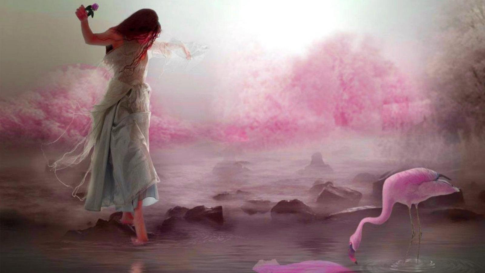 Handy-Wallpaper Fantasie, Flamingo, Frauen kostenlos herunterladen.
