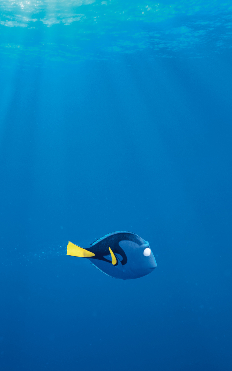 Download mobile wallpaper Movie, Dory (Finding Nemo), Finding Dory for free.