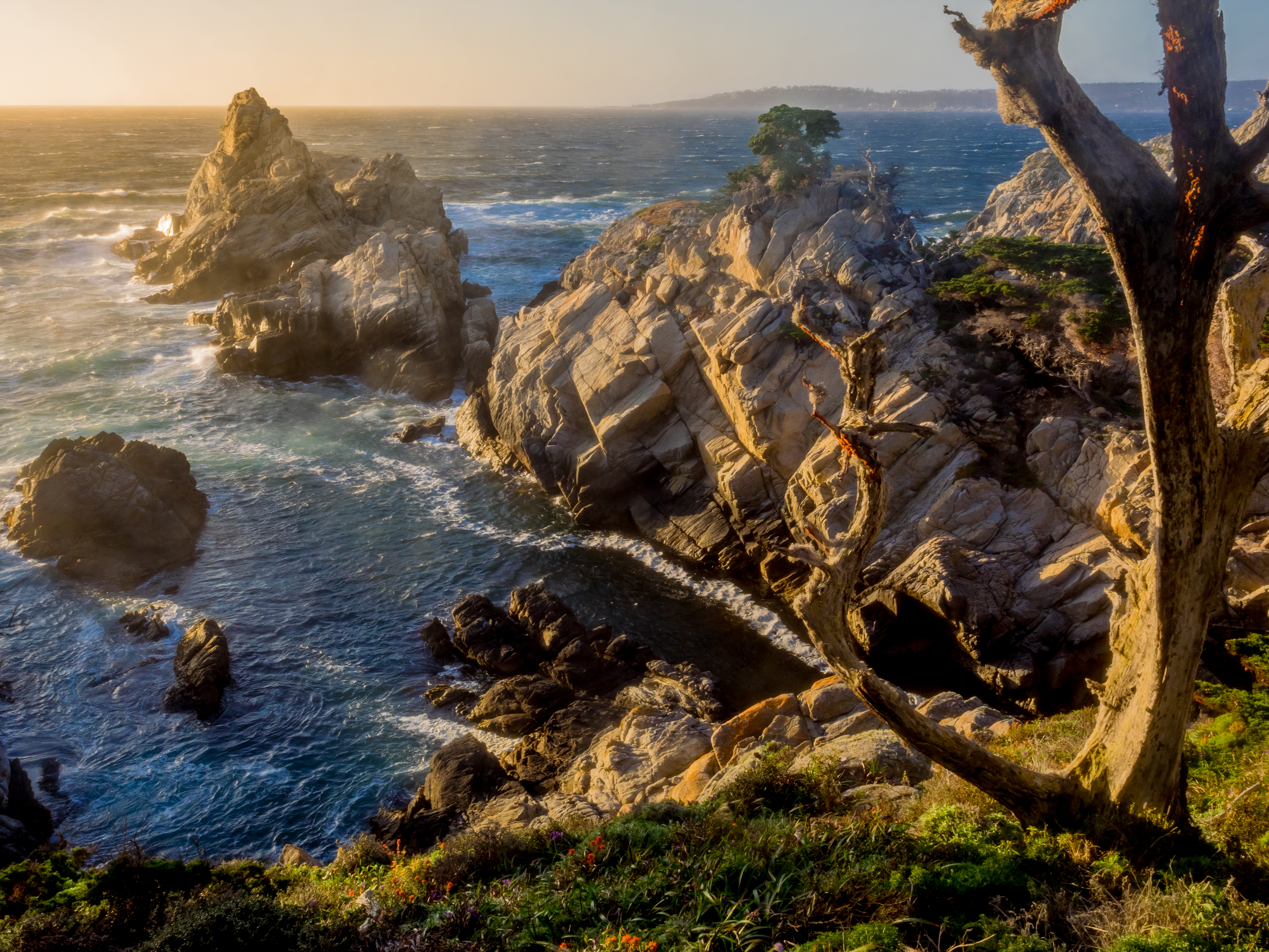 Descarga gratuita de fondo de pantalla para móvil de Mar, Roca, Árbol, Océano, Tierra/naturaleza.