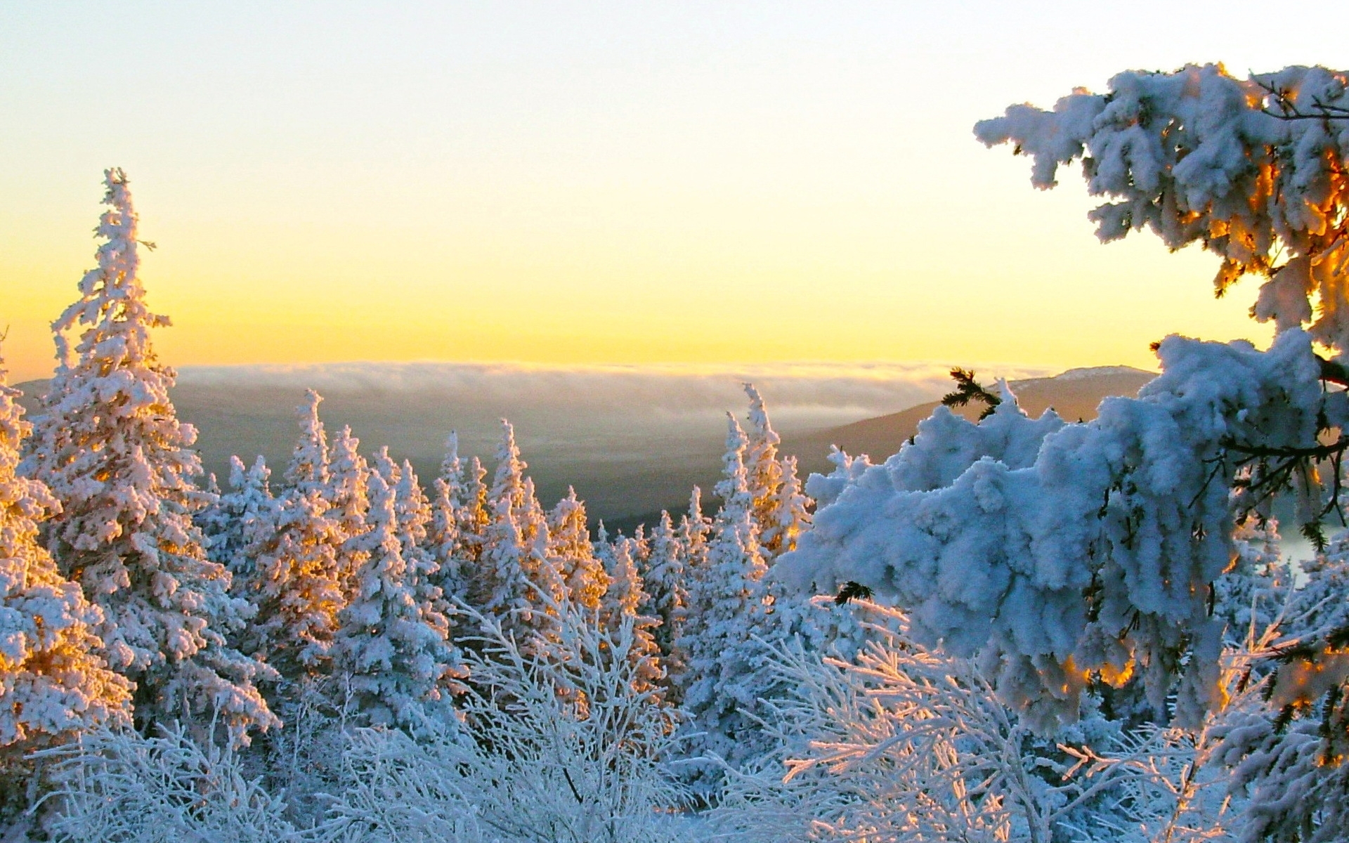 PCデスクトップに風景, 冬, 自然画像を無料でダウンロード