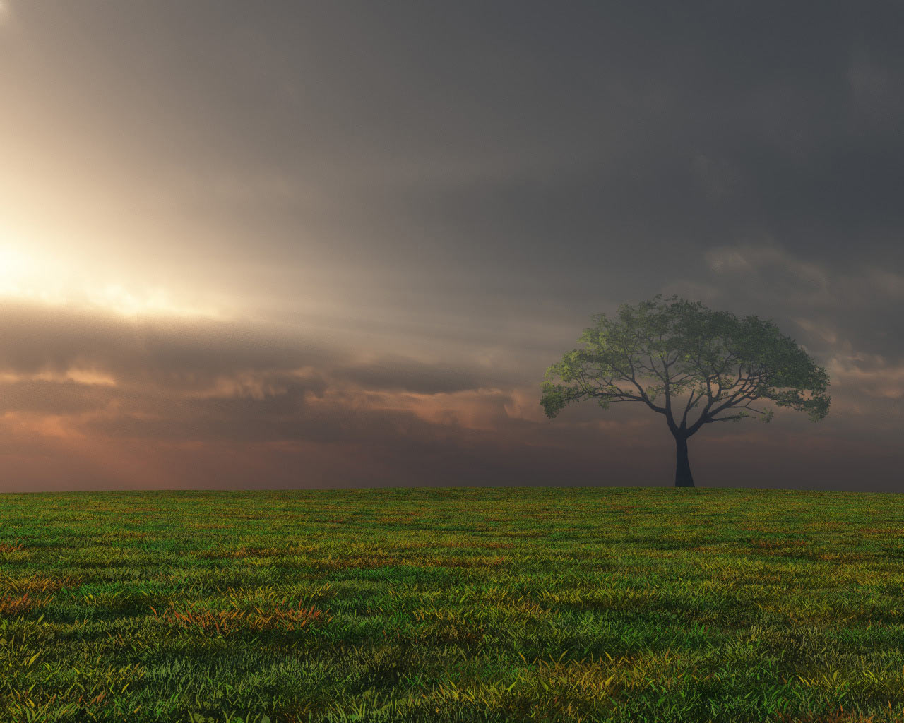 Download mobile wallpaper Landscape, Tree, Earth for free.