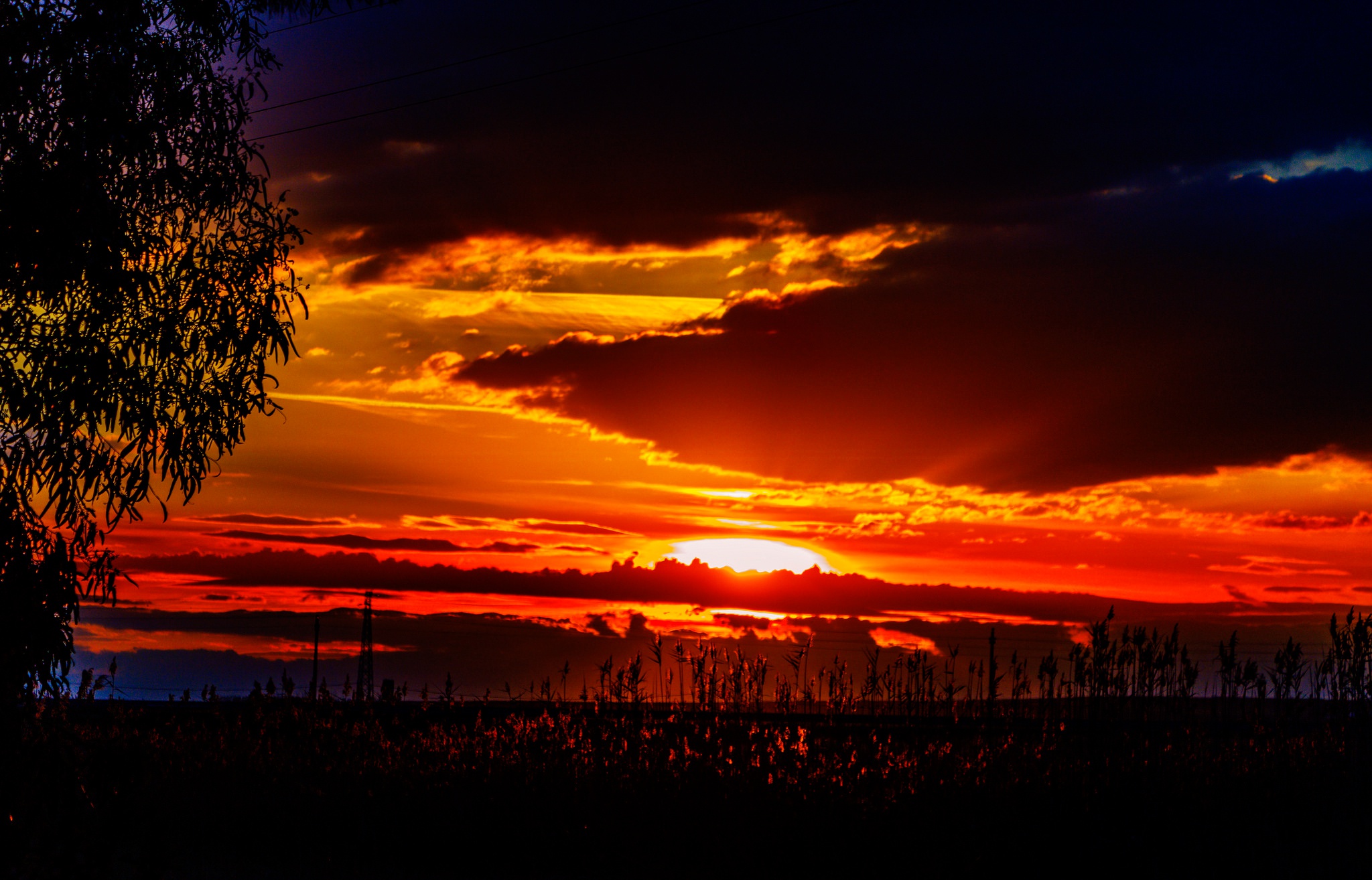 Handy-Wallpaper Natur, Silhouette, Wolke, Himmel, Sonnenuntergang, Erde/natur, Orange Farbe) kostenlos herunterladen.