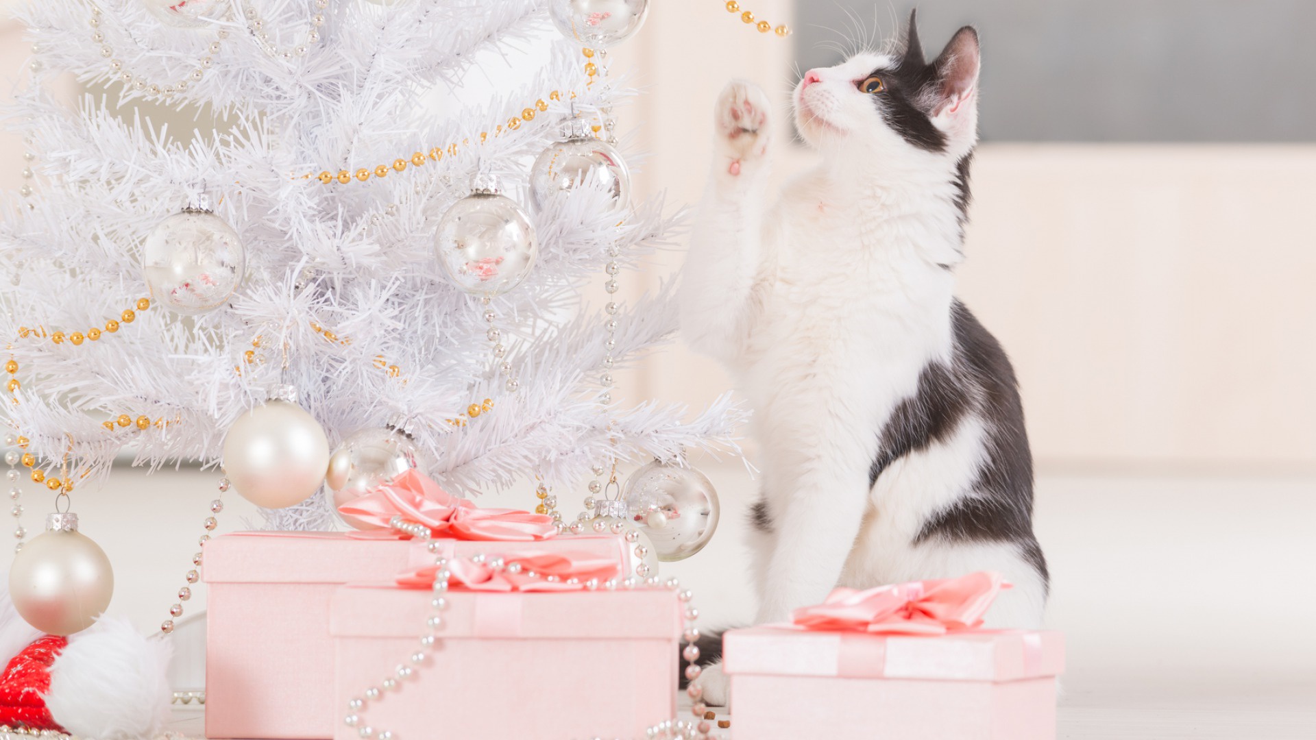 Baixar papel de parede para celular de Animais, Gatos, Natal, Gato, Presente, Enfeites De Natal gratuito.