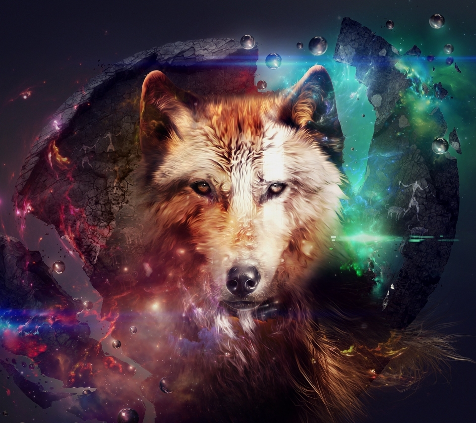 Descarga gratuita de fondo de pantalla para móvil de Animales, Lobo, Wolves.