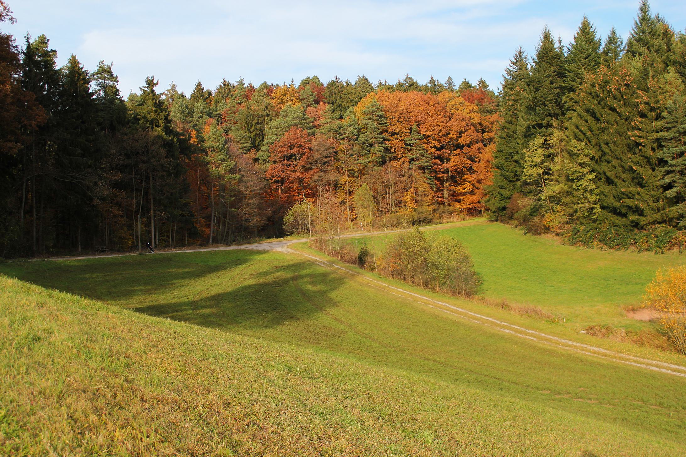 Descarga gratis la imagen Otoño, Tierra/naturaleza en el escritorio de tu PC