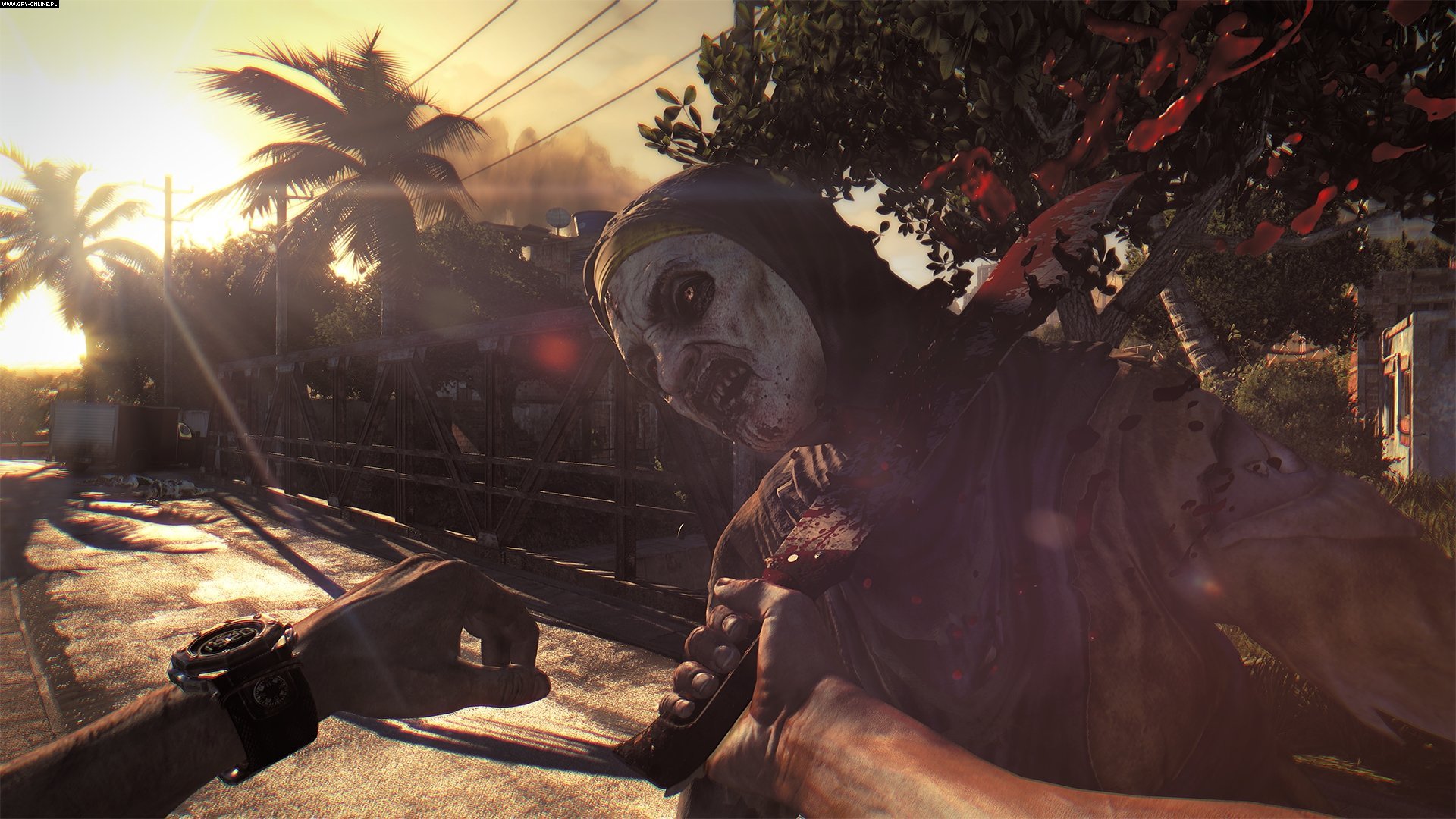 Free download wallpaper Video Game, Dying Light on your PC desktop