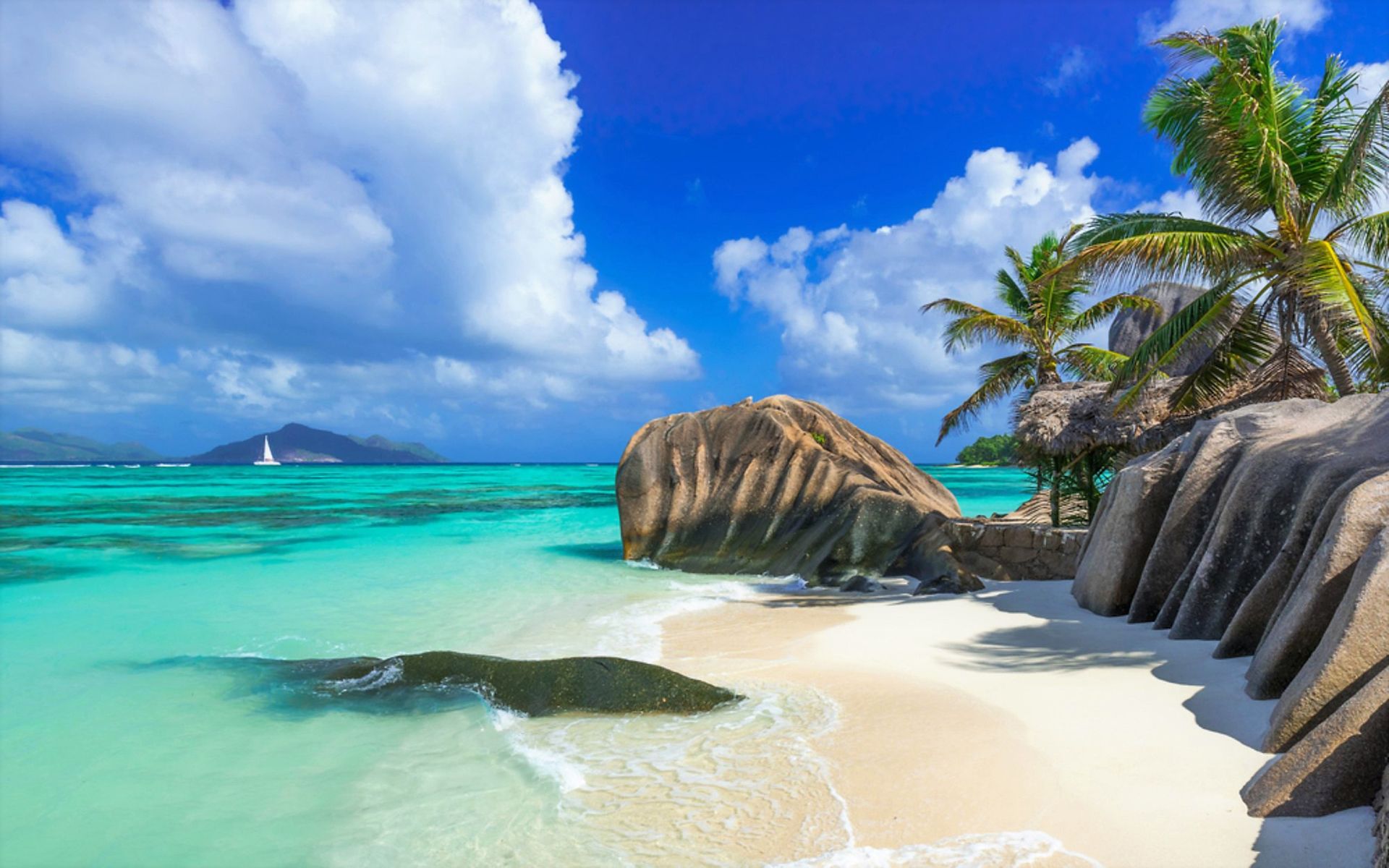 881473 descargar fondo de pantalla tierra/naturaleza, playa, isla, océano, palmera, mar, seychelles, tropico: protectores de pantalla e imágenes gratis