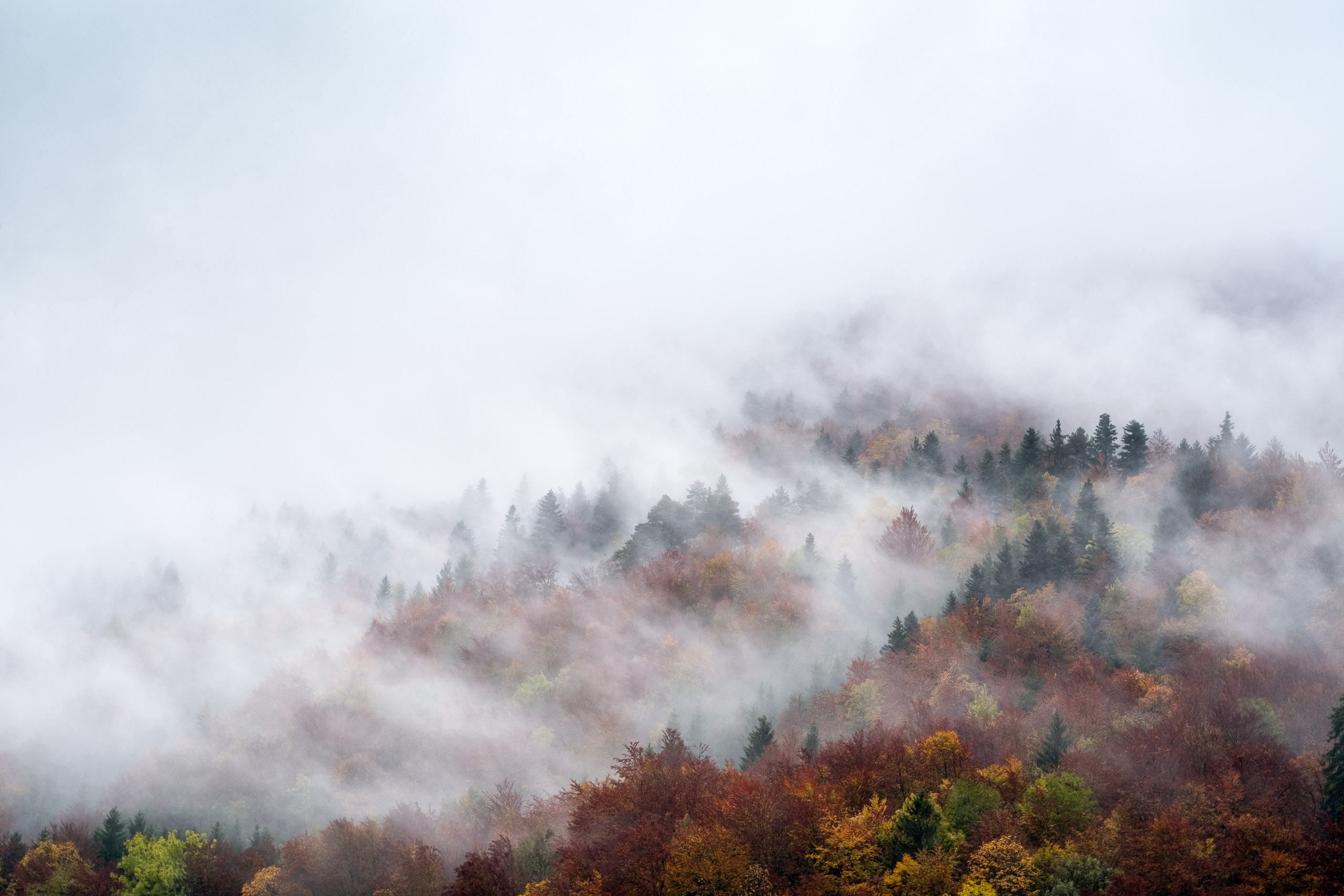 Descarga gratis la imagen Otoño, Niebla, Suiza, Tierra/naturaleza en el escritorio de tu PC