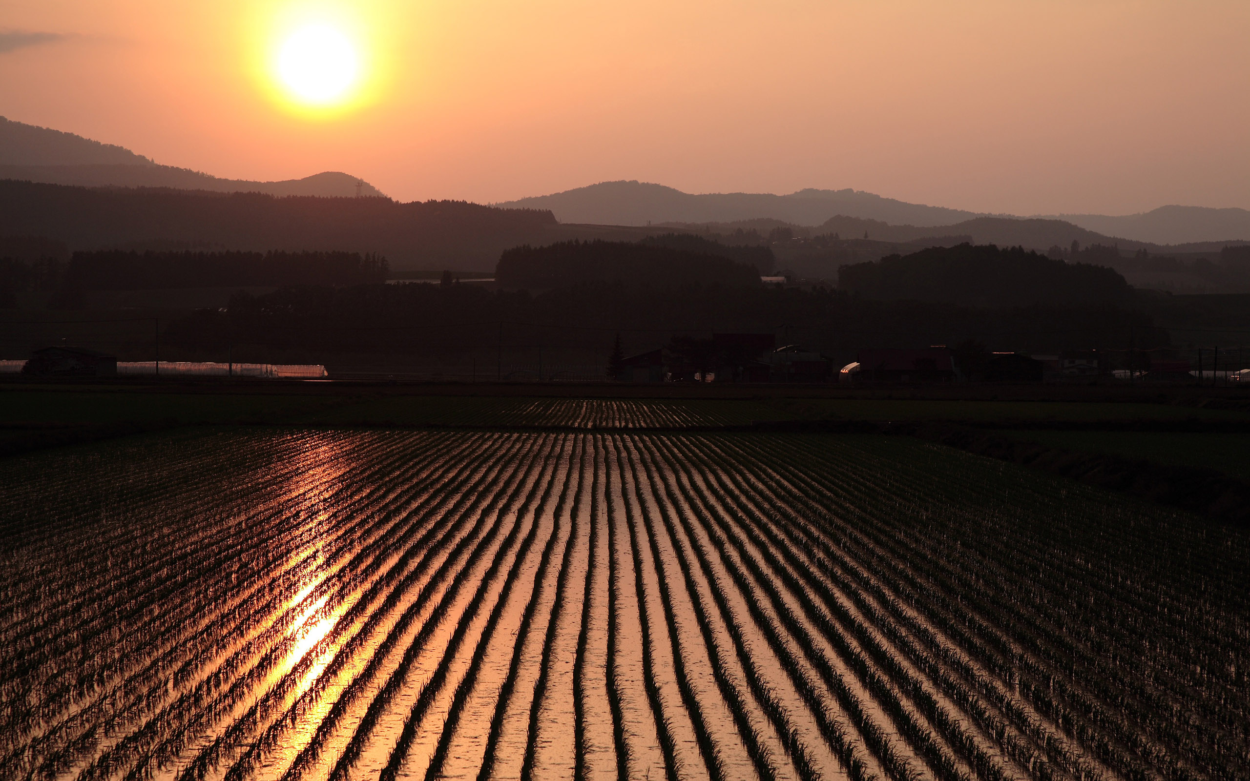 Download mobile wallpaper Sunset, Mountain, Field, Man Made, Rice Terrace for free.