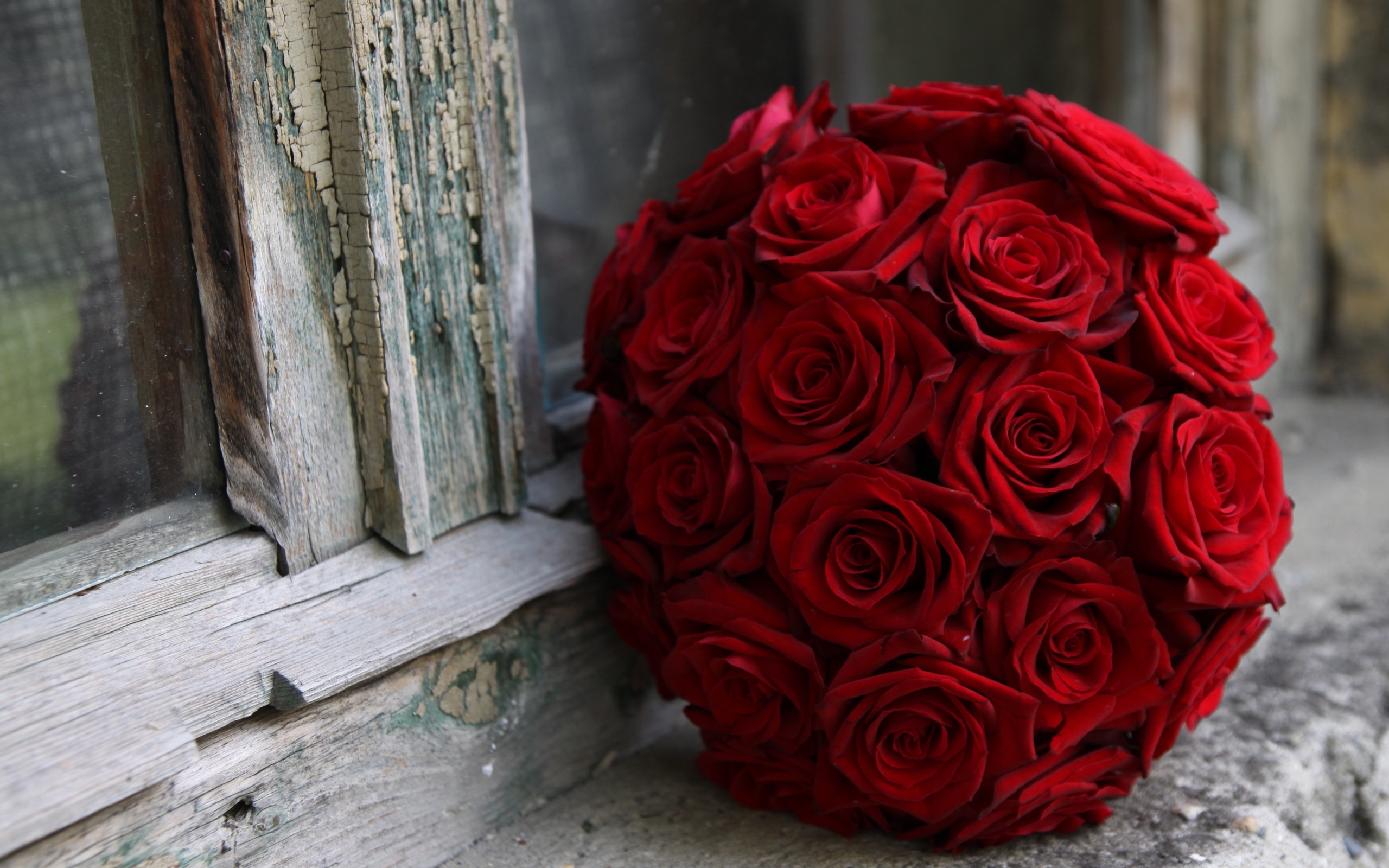 Laden Sie das Bouquets, Roses, Pflanzen, Blumen-Bild kostenlos auf Ihren PC-Desktop herunter