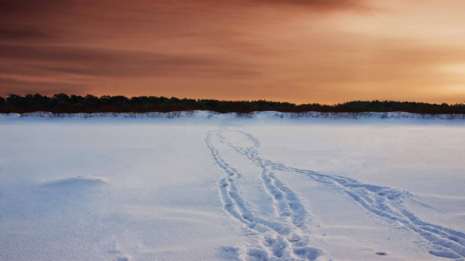 Téléchargez des papiers peints mobile Hiver, Terre/nature gratuitement.