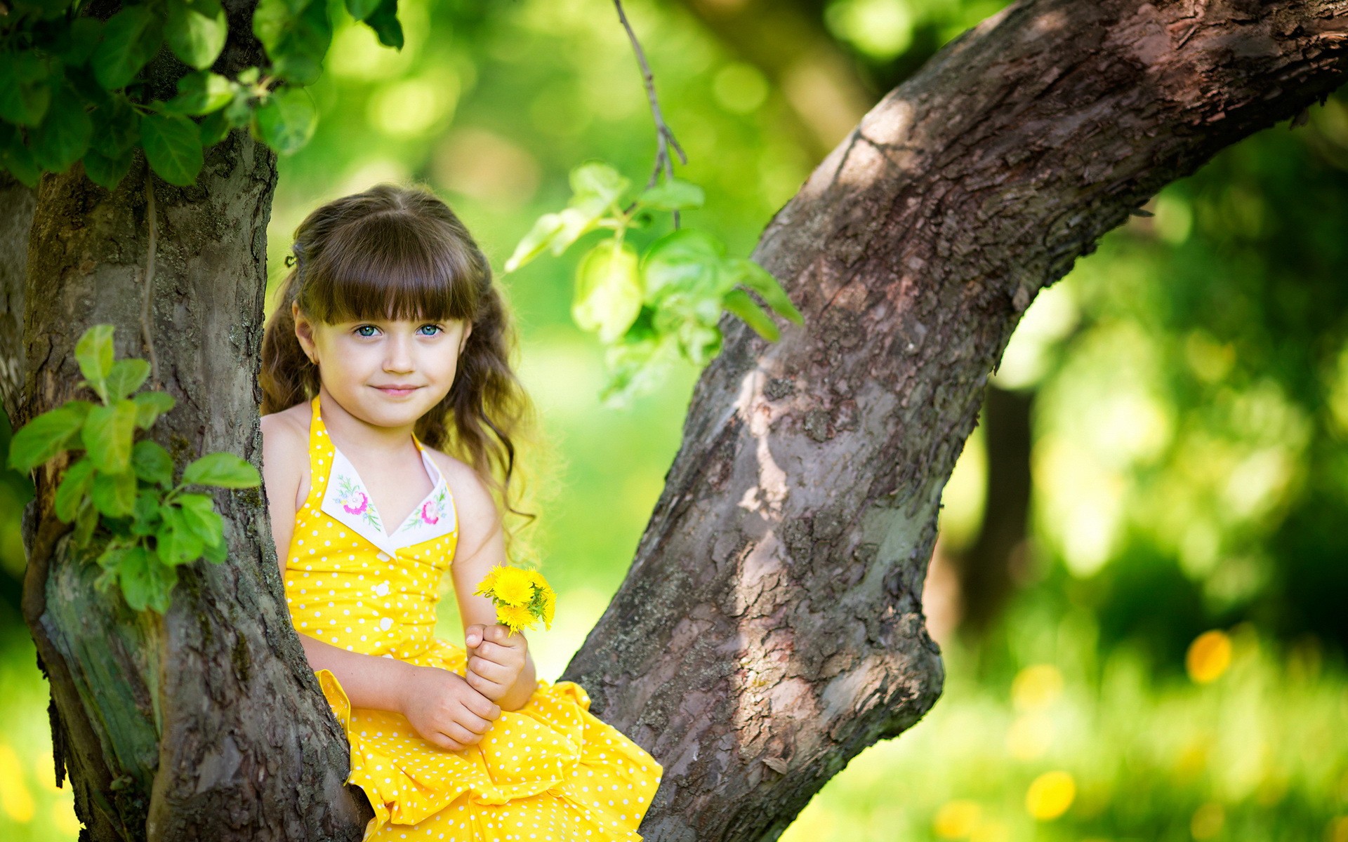Laden Sie das Blume, Baum, Kind, Bokeh, Fotografie, Blaue Augen, Kleines Mädchen-Bild kostenlos auf Ihren PC-Desktop herunter
