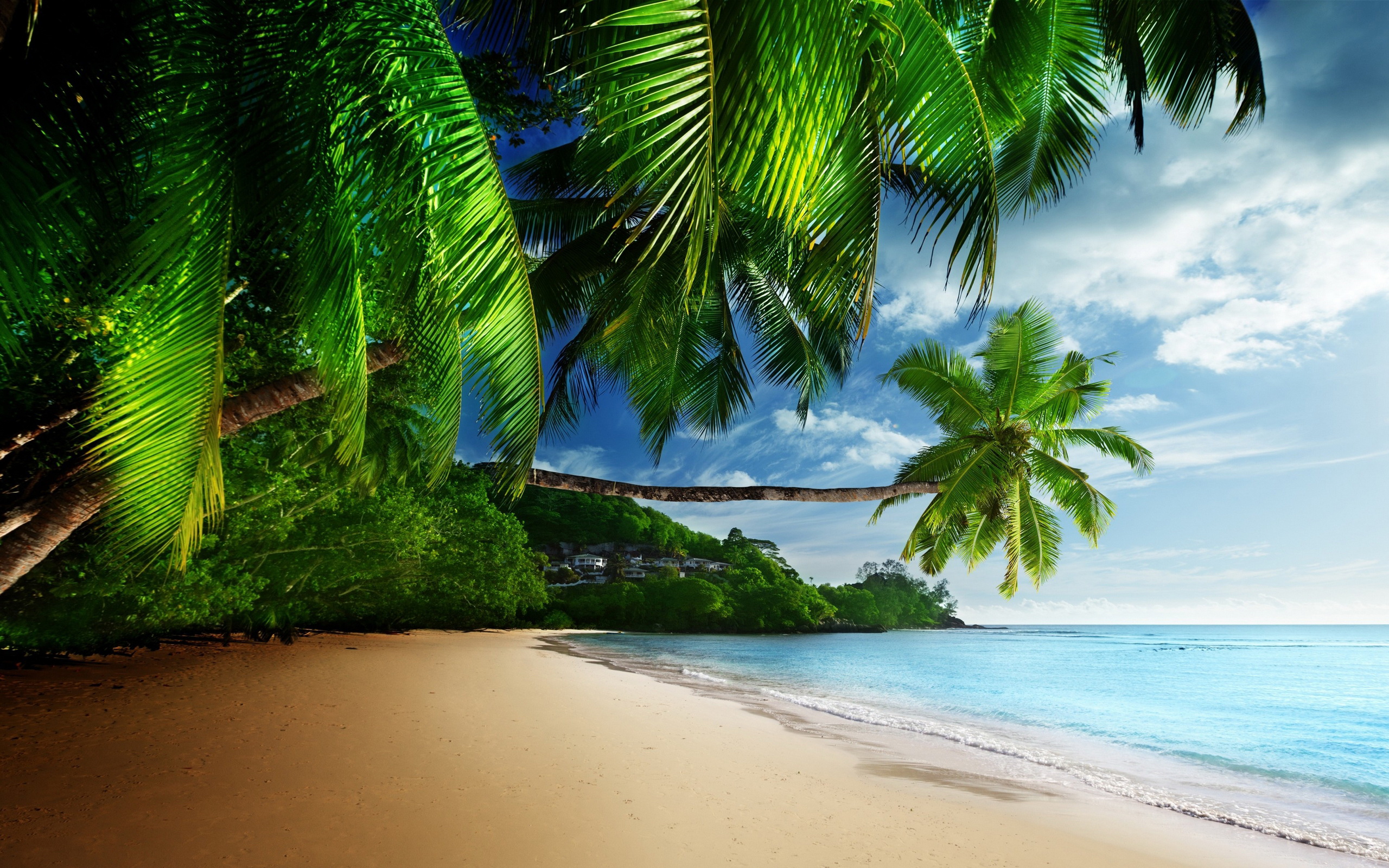 Download mobile wallpaper Beach, Earth for free.