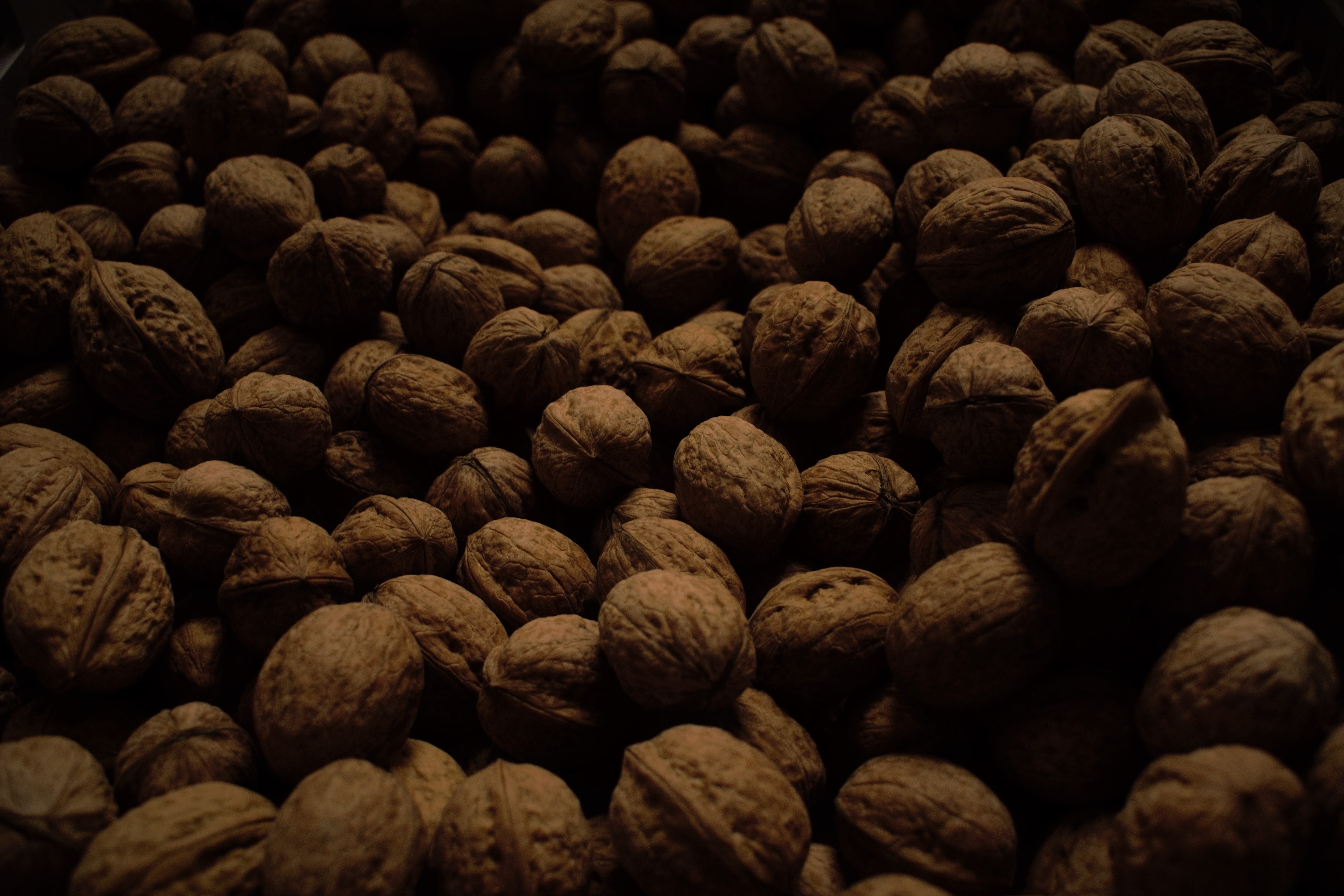food, nuts, dark, lot, harvest, walnuts