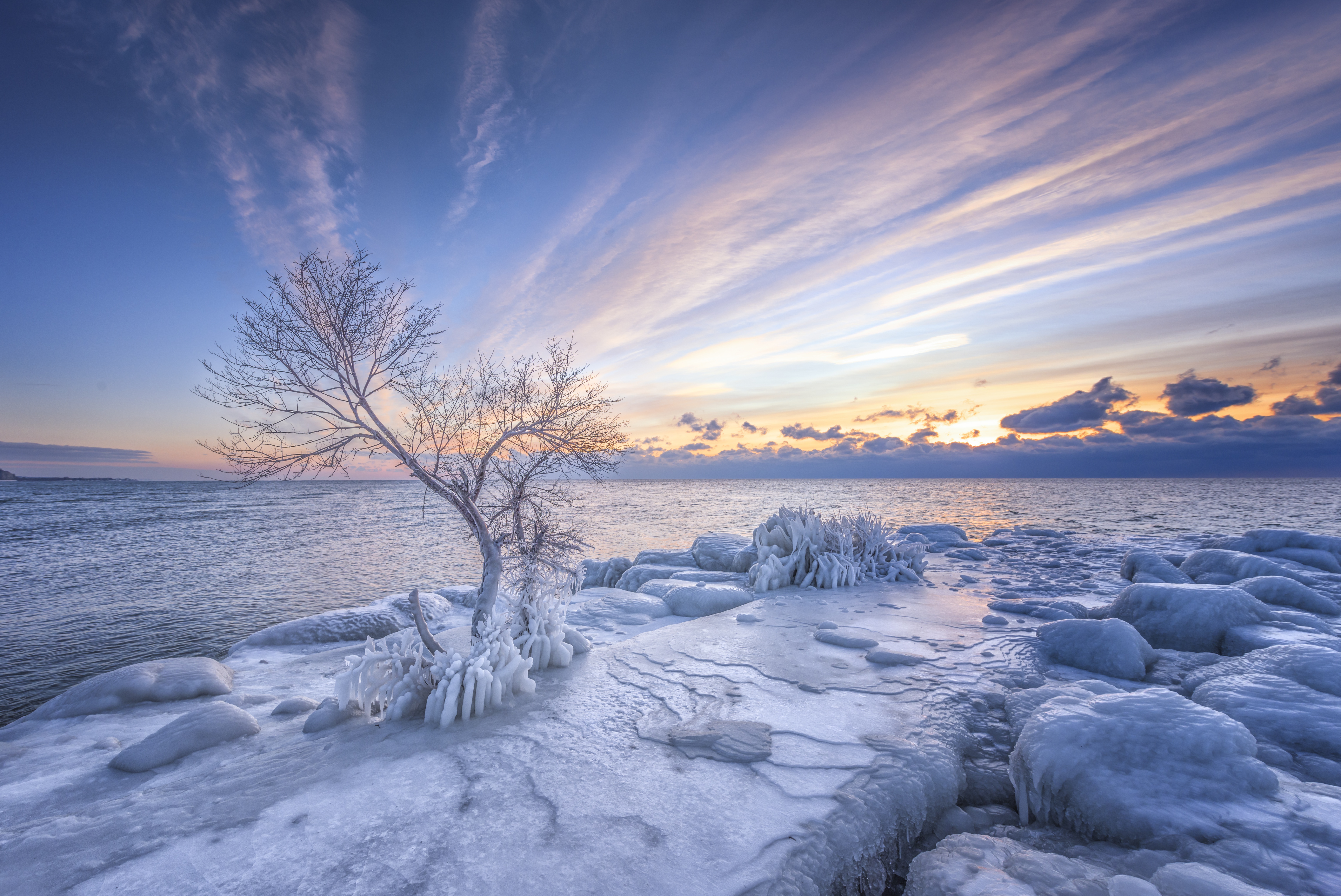 Laden Sie das Winter, Eis, Schnee, Ufer, Baum, Teich, Erde/natur-Bild kostenlos auf Ihren PC-Desktop herunter