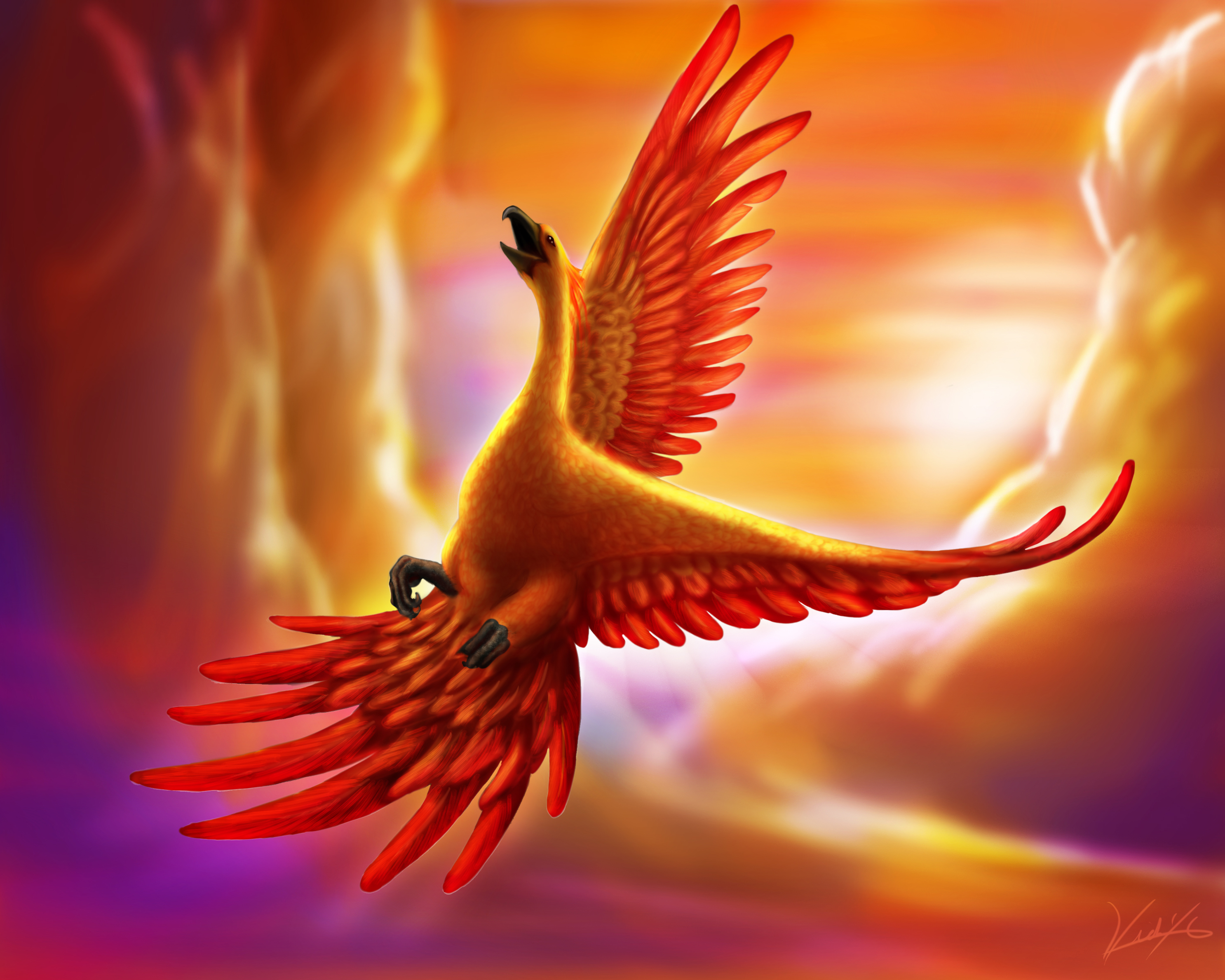 Laden Sie das Fantasie, Vogel, Phönix, Fantasietiere-Bild kostenlos auf Ihren PC-Desktop herunter