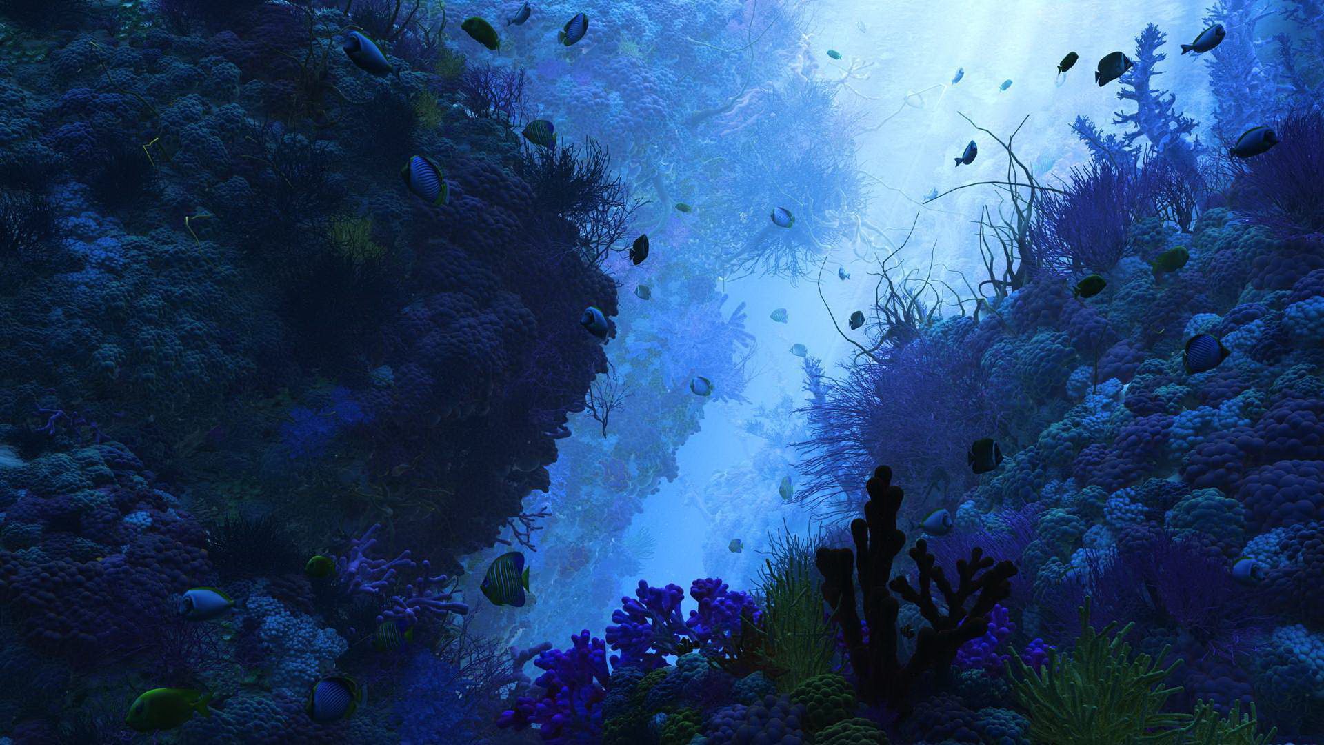 Laden Sie das Unterwasser, Künstlerisch-Bild kostenlos auf Ihren PC-Desktop herunter