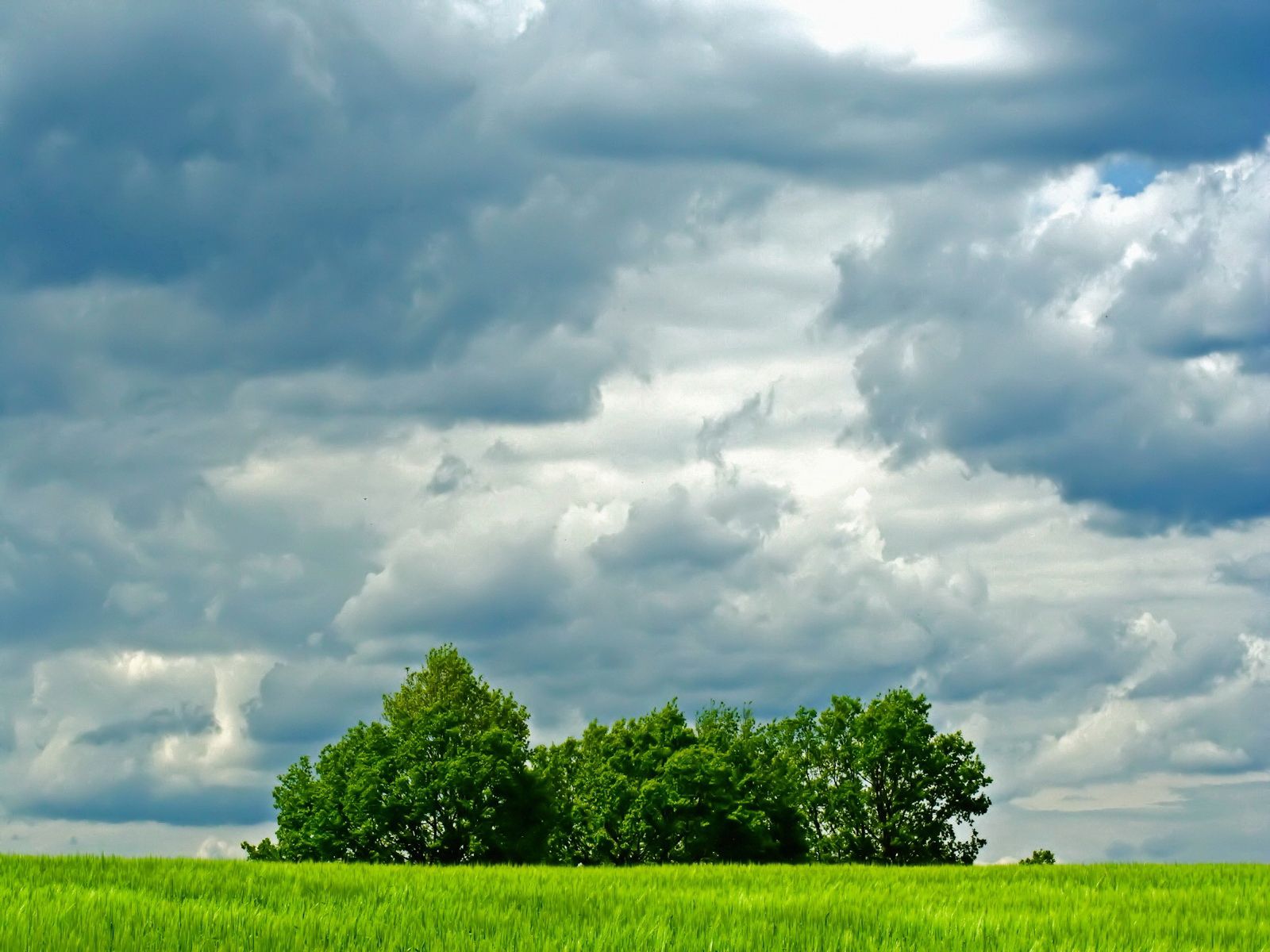 Free download wallpaper Nature, Trees, Sky, Clouds, Summer, Greens, Field, Meadow on your PC desktop