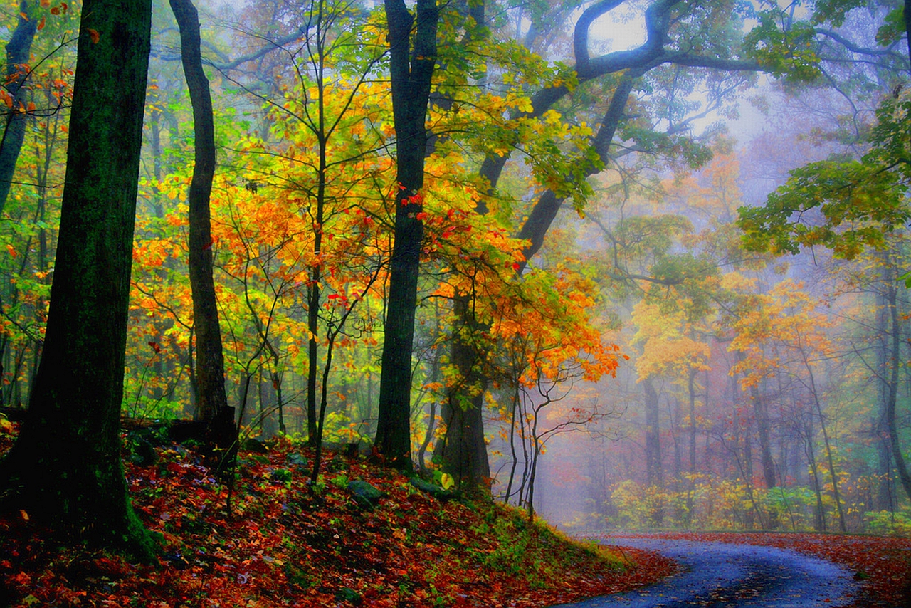 Baixe gratuitamente a imagem Cênico, Terra/natureza na área de trabalho do seu PC