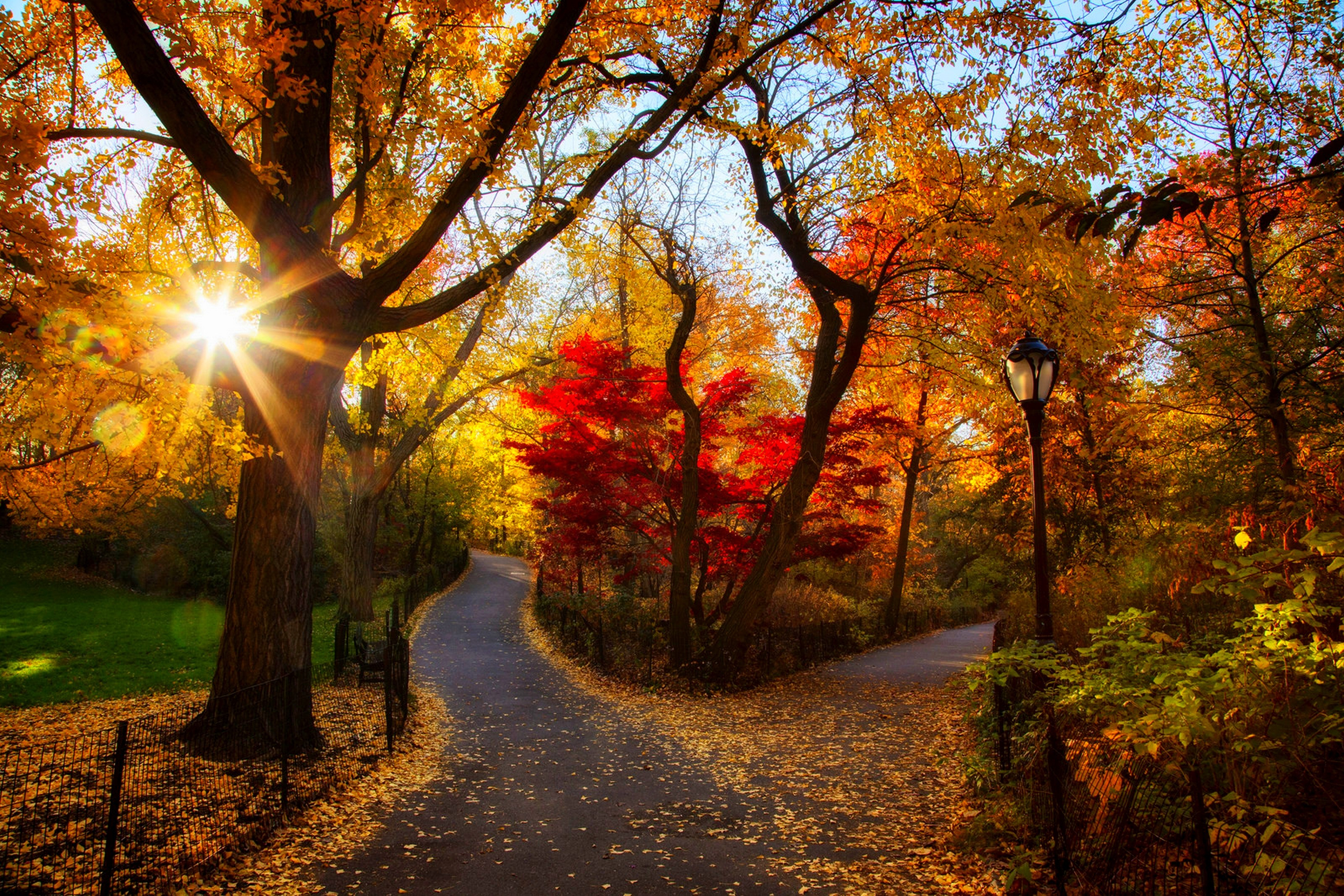 Скачать обои бесплатно Осень, Дорога, Парк, Дерево, Ограда, Фотографии картинка на рабочий стол ПК