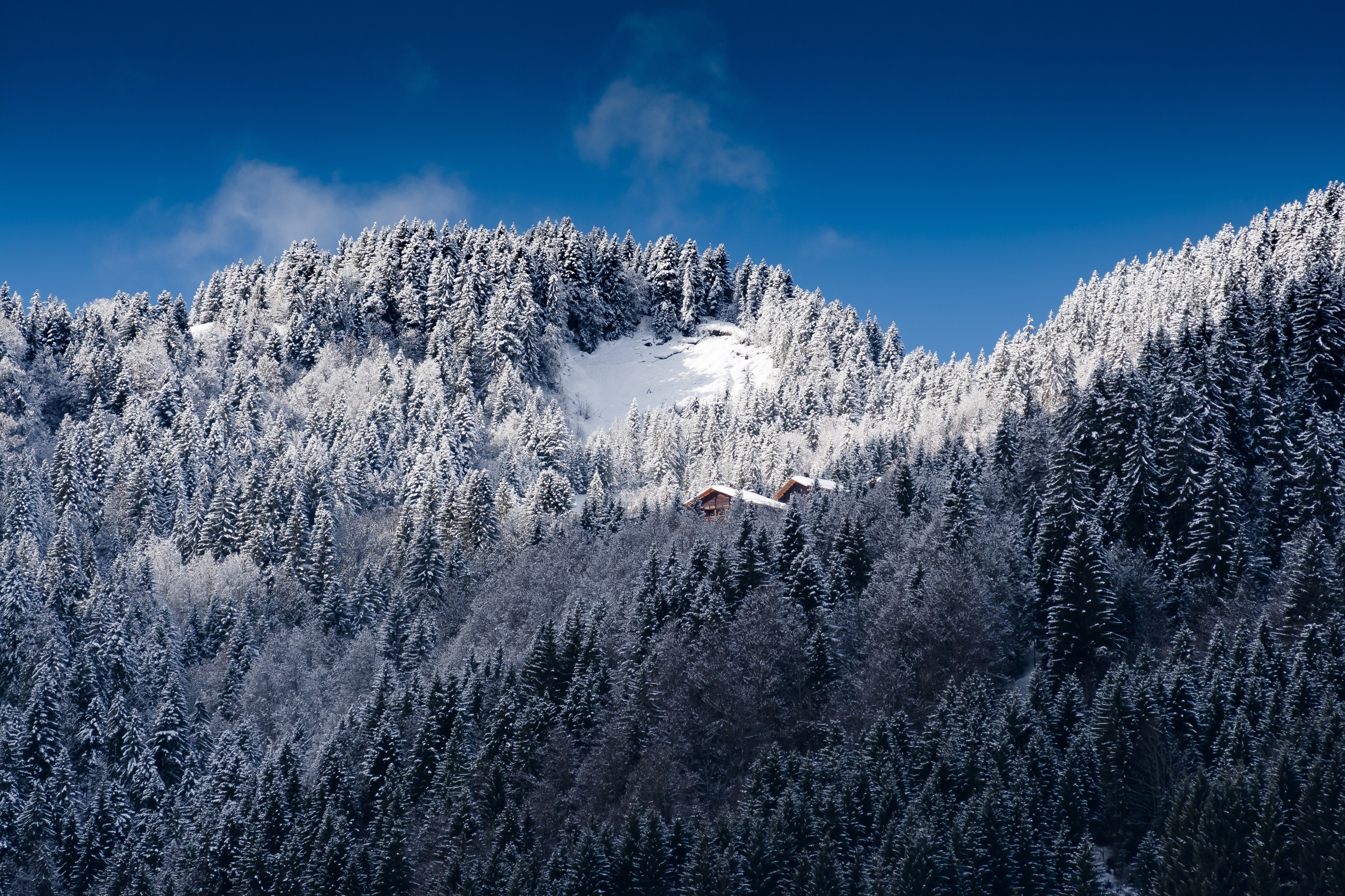 Baixar papel de parede para celular de Árvores, Alpes, Montanhas, Natureza, Neve gratuito.