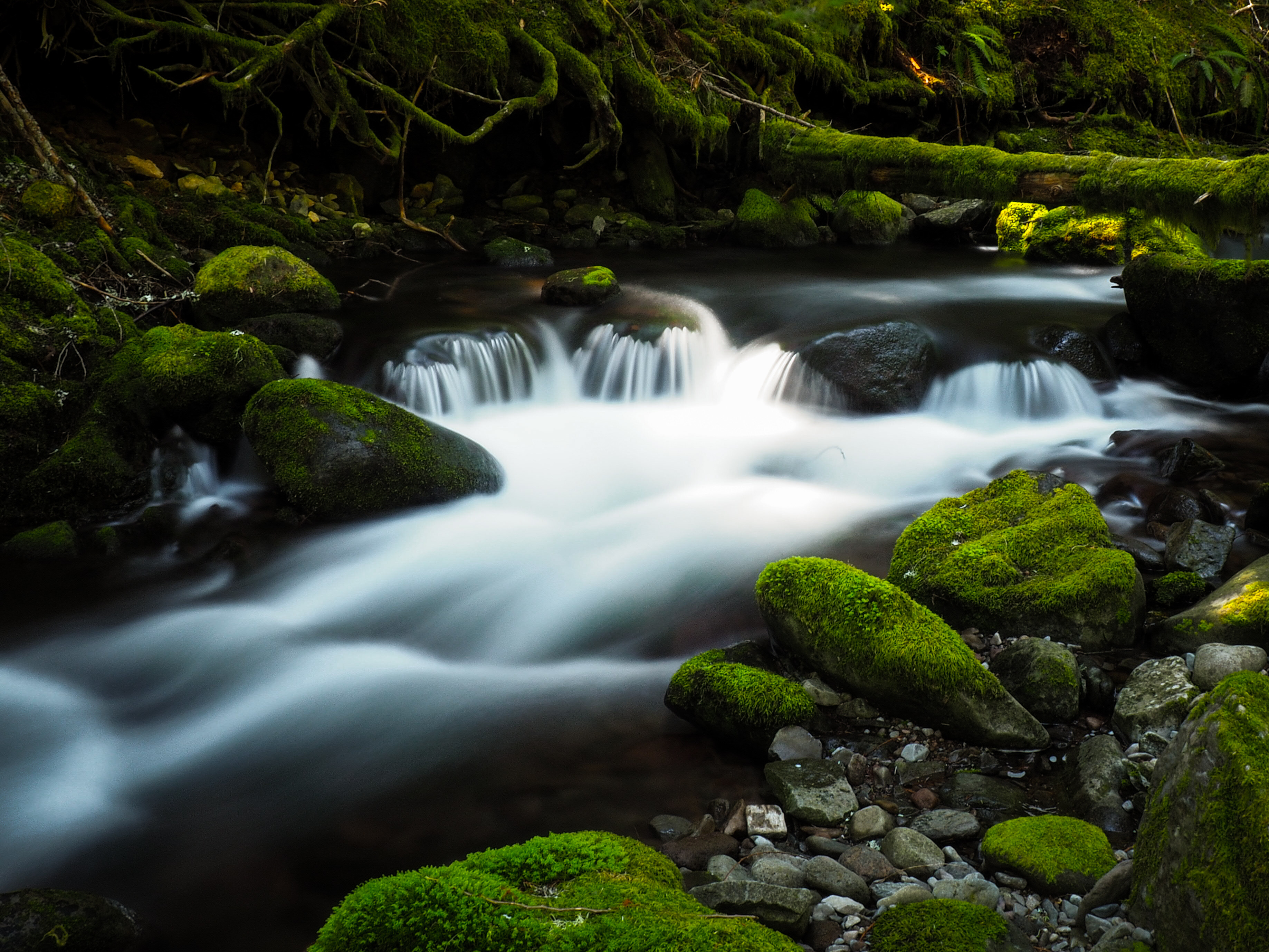 nature, water, rivers, stones, moss, creek, brook wallpapers for tablet