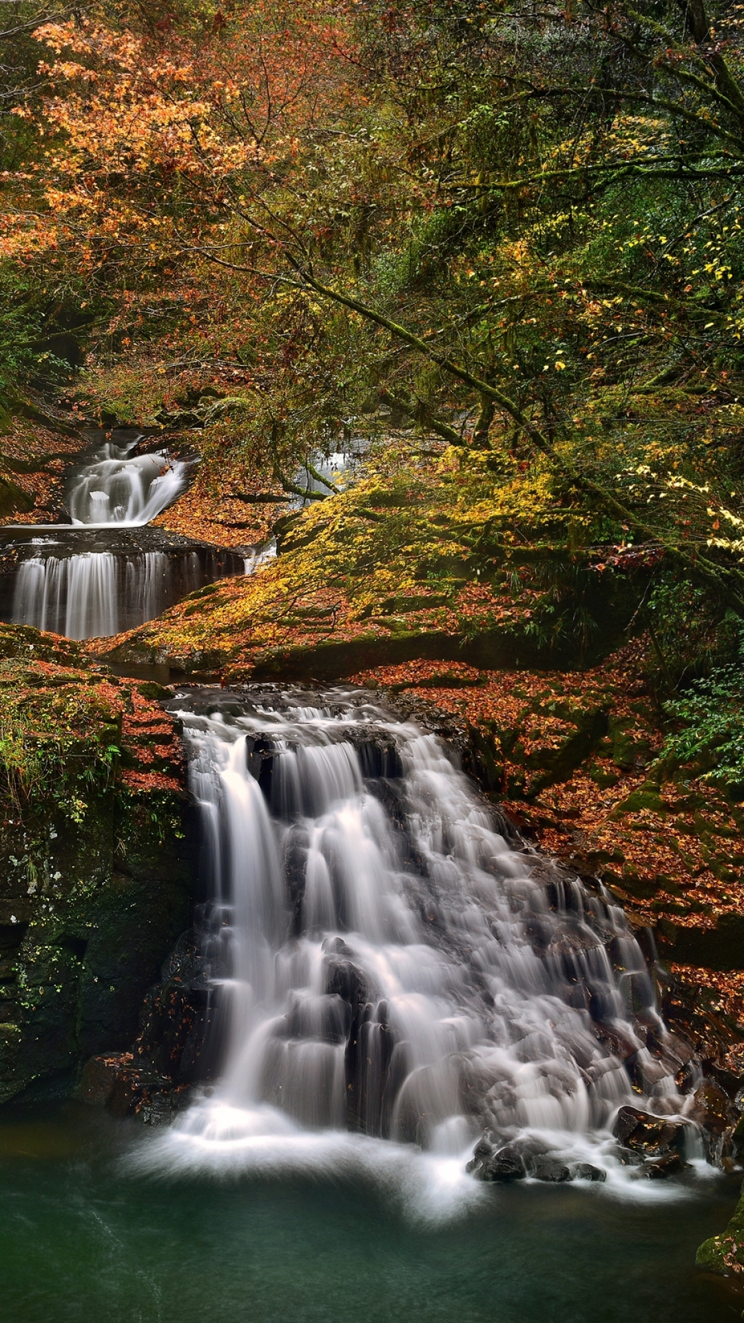 Handy-Wallpaper Landschaft, Herbst, Wasserfälle, Wasserfall, Wald, Baum, Erde, Japan, Erde/natur kostenlos herunterladen.