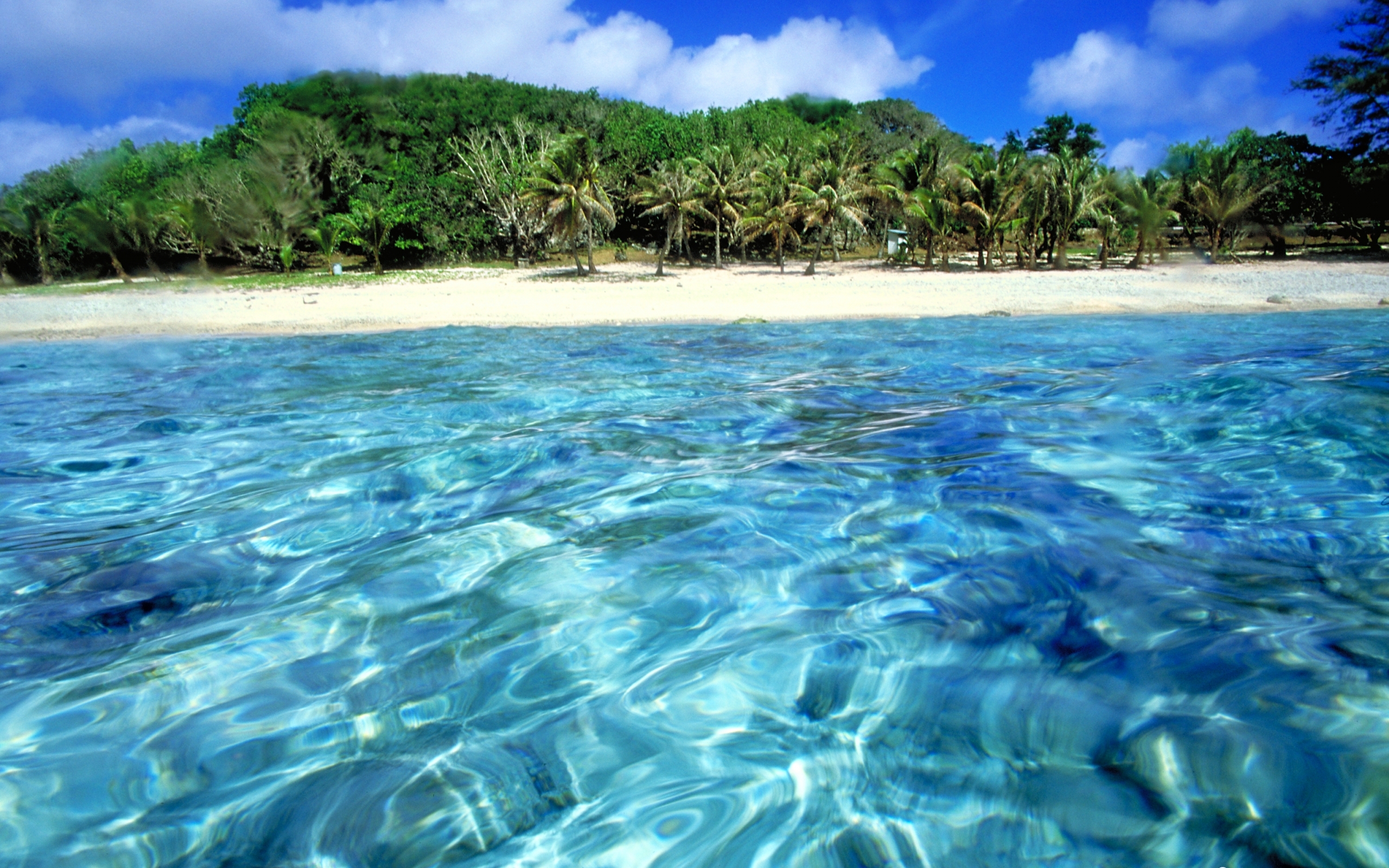 Free download wallpaper Water, Sea, Landscape, Trees, Beach on your PC desktop