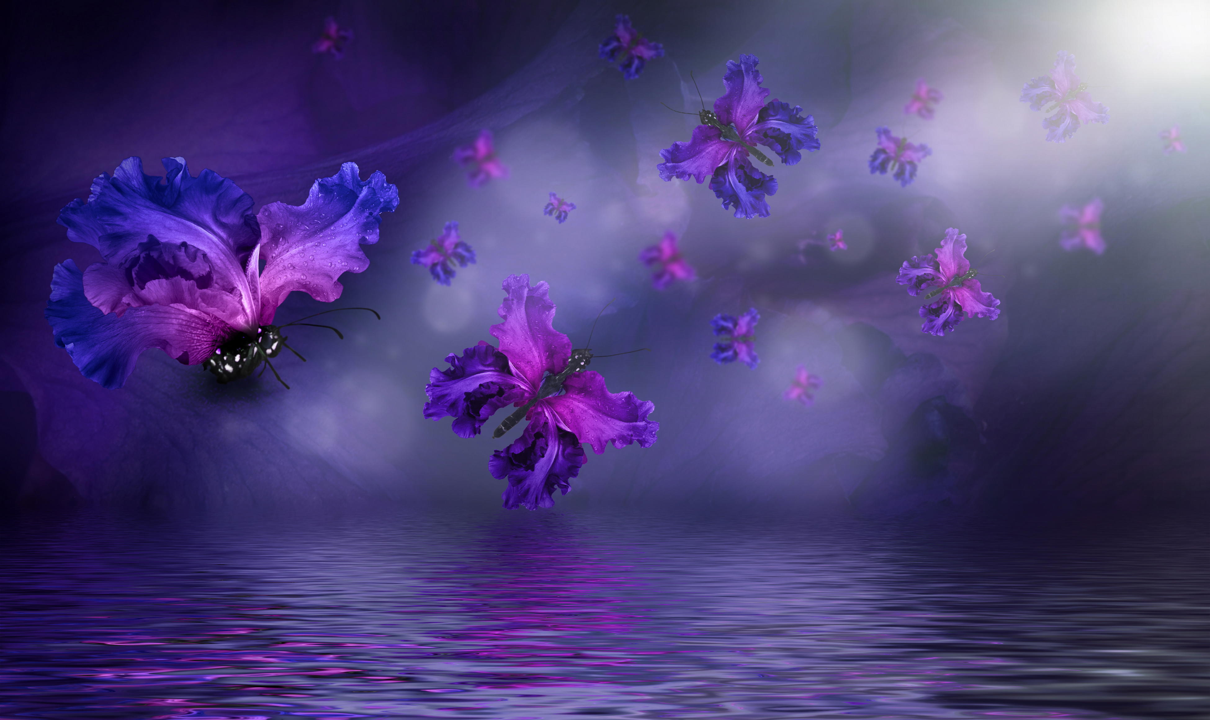 Скачать картинку Вода, Цветок, Бабочка, Крылья, Пурпурный, Художественные в телефон бесплатно.