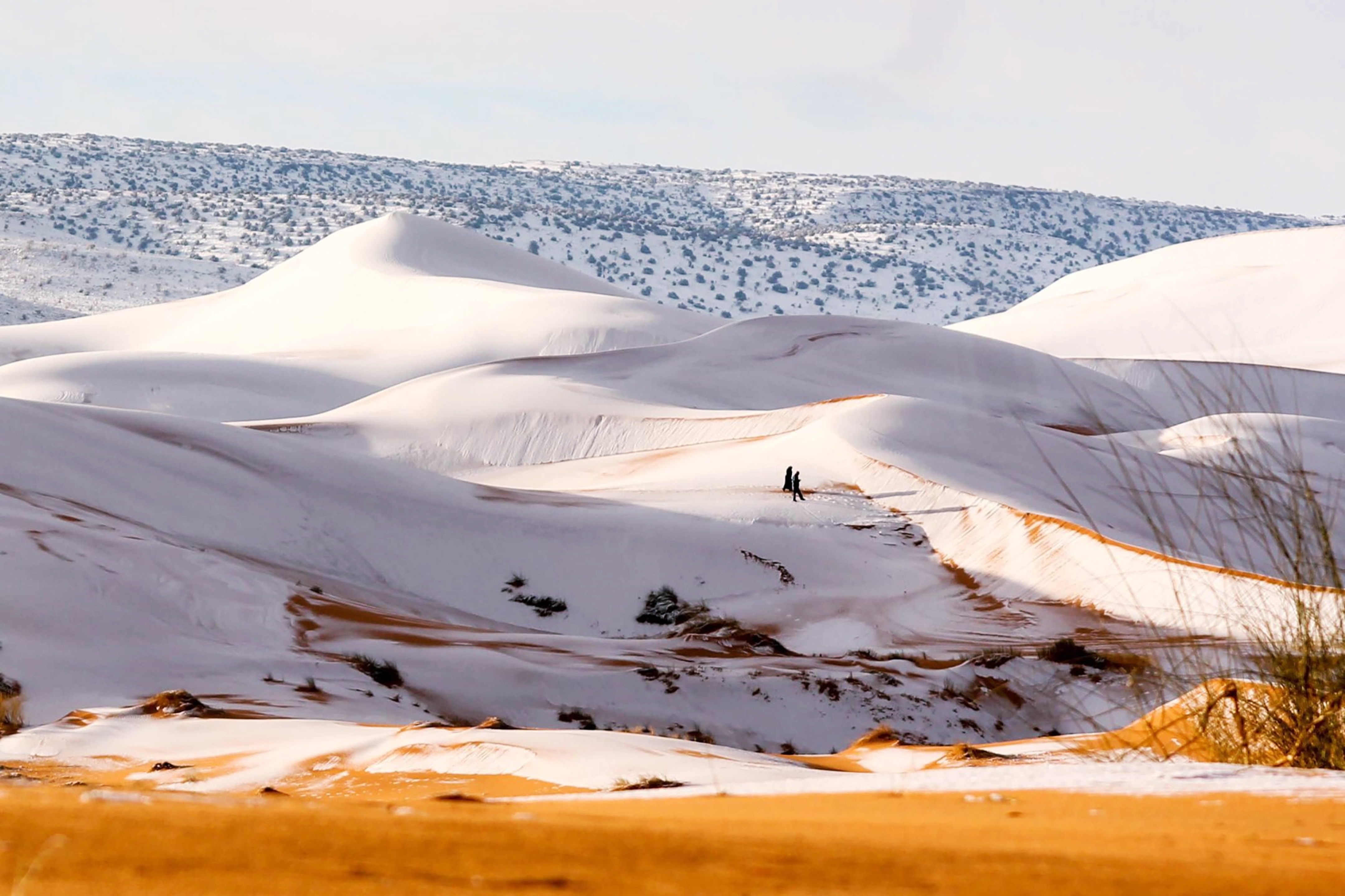 Скачать обои бесплатно Песок, Снег, Пустыня, Сахара, Африка, Алжир, Земля/природа картинка на рабочий стол ПК