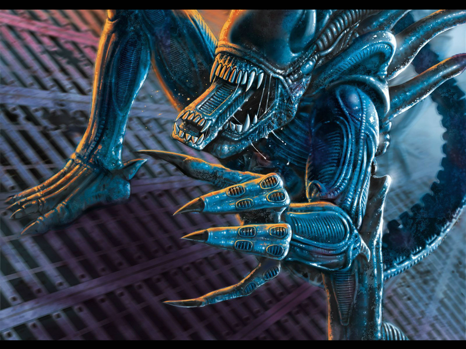 Free download wallpaper Alien, Video Game, Aliens Vs Predator on your PC desktop