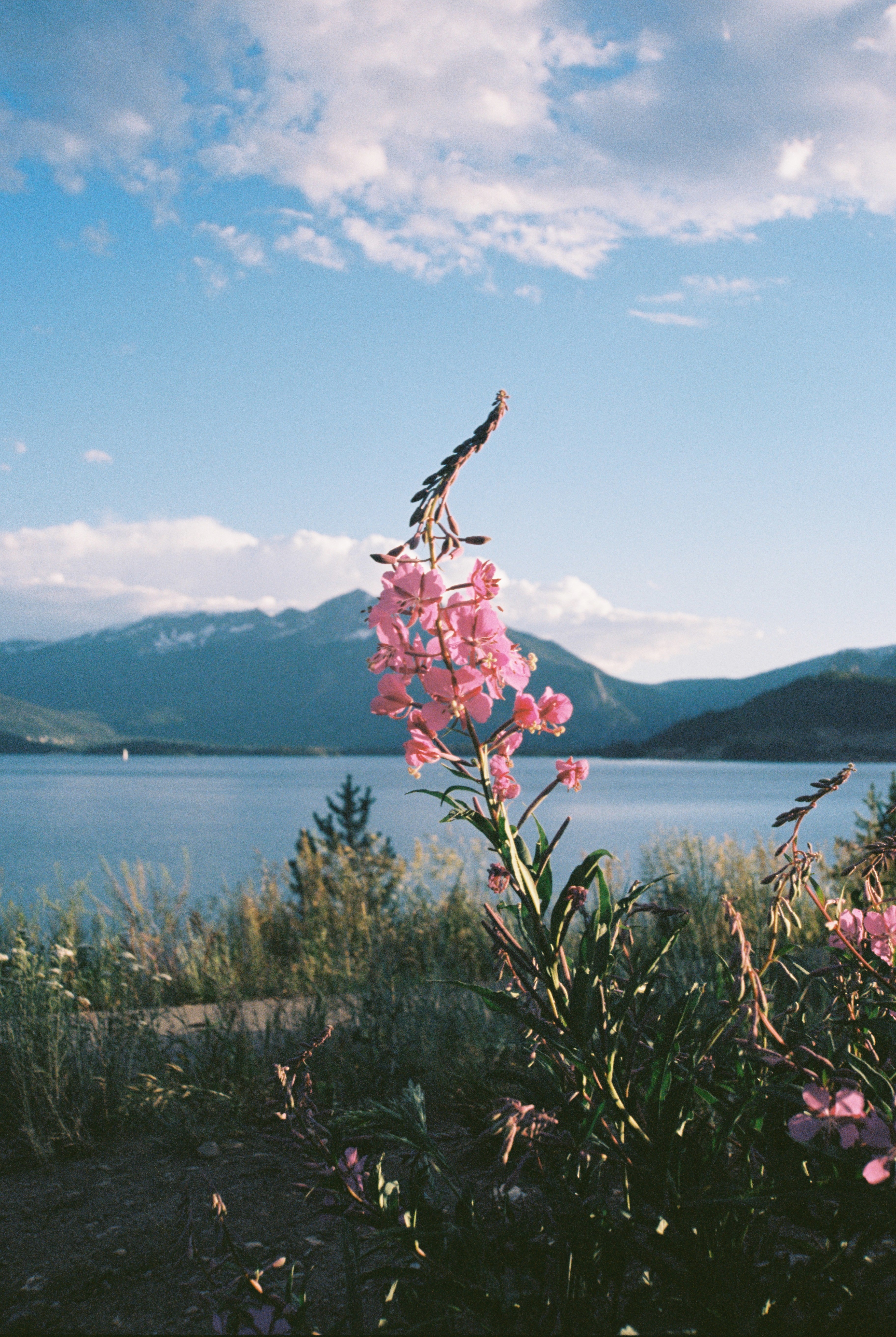 Скачать обои бесплатно Озеро, Горы, Цветы, Трава, Пейзаж картинка на рабочий стол ПК