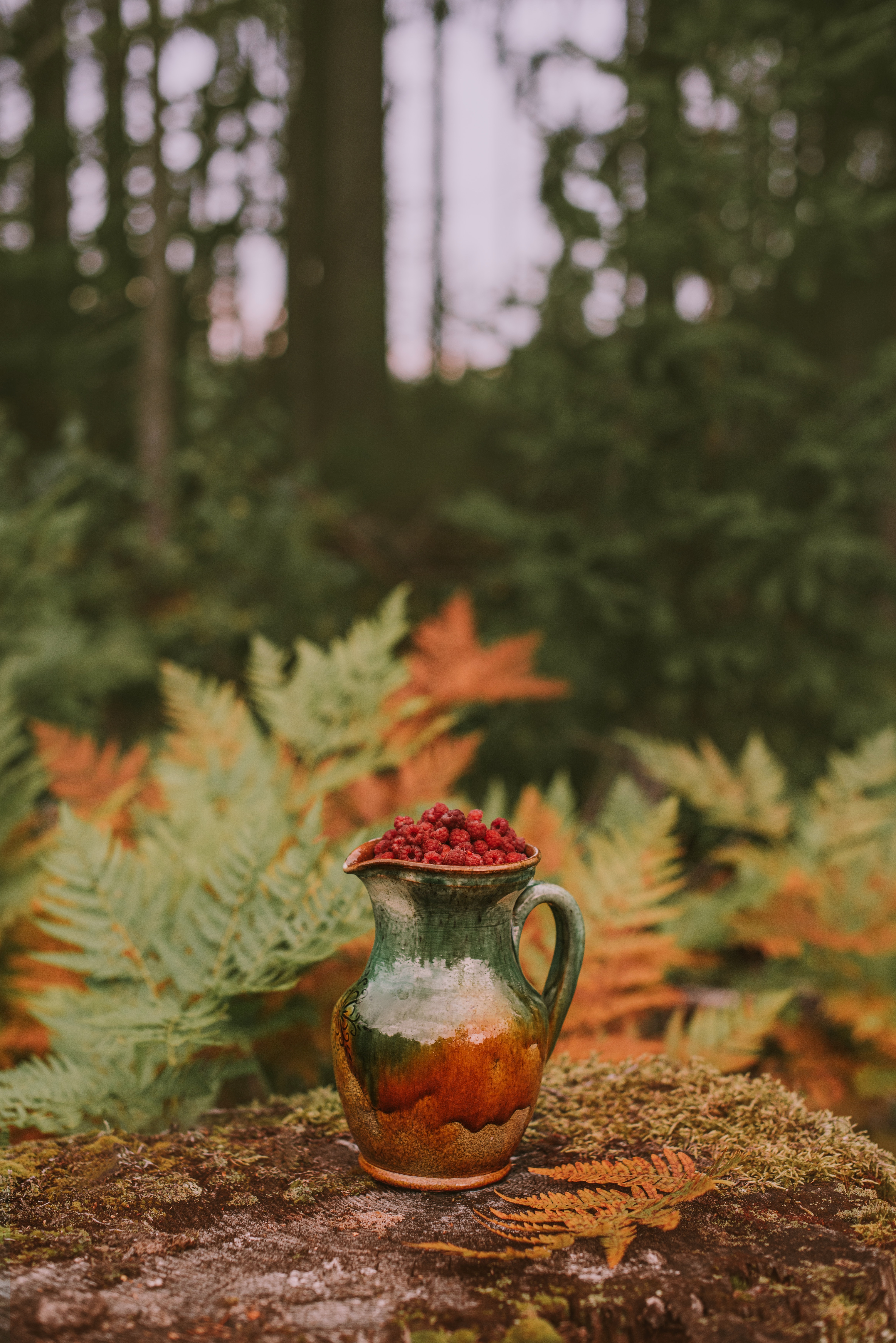 nature, food, autumn, raspberry, berries, jug phone wallpaper