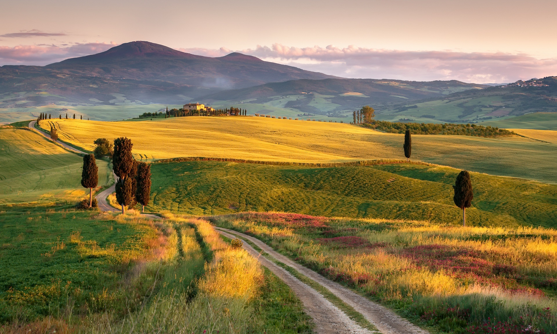 italy, tuscany, landscape, hill, photography, field, nature