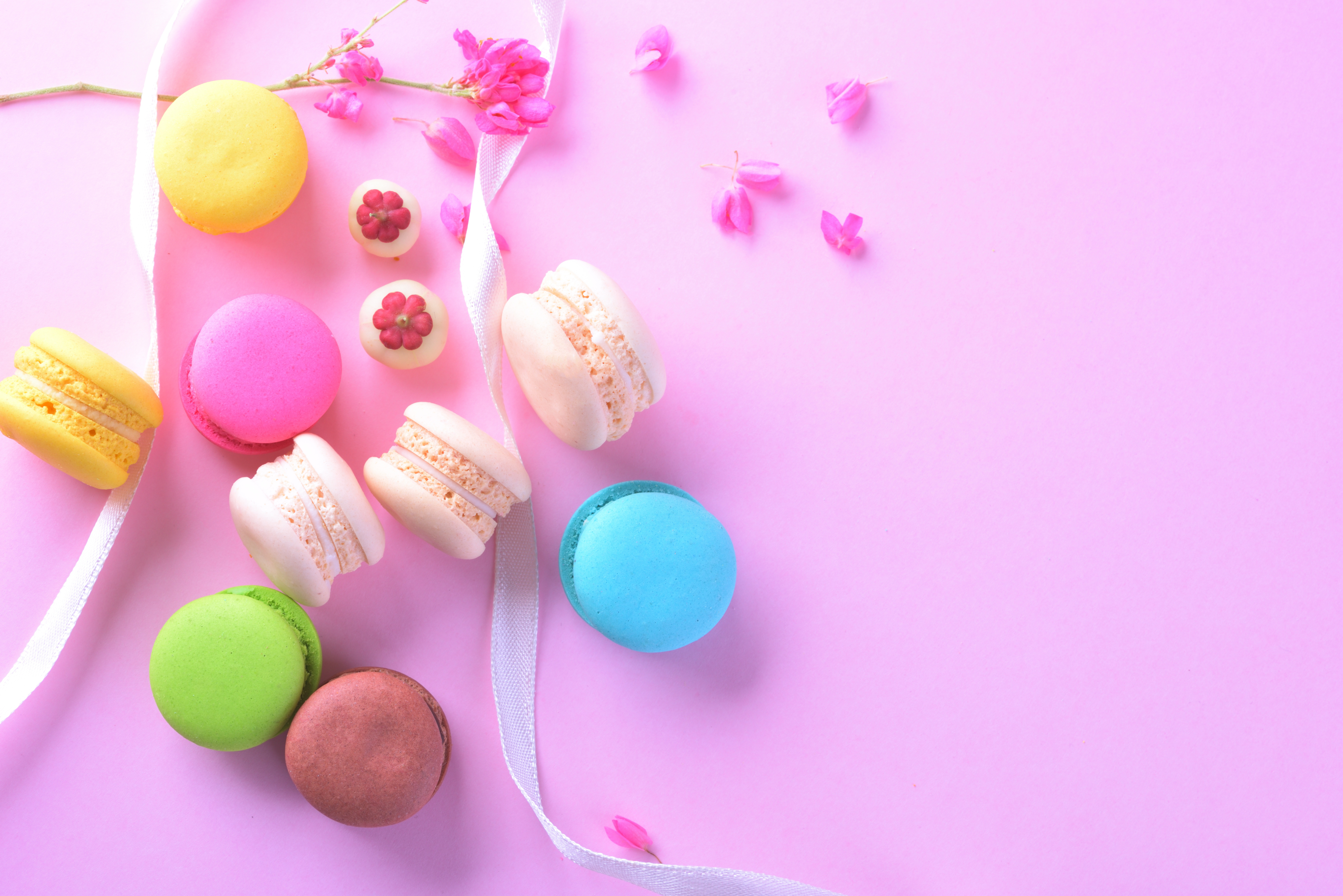 Free download wallpaper Food, Sweets, Macaron on your PC desktop