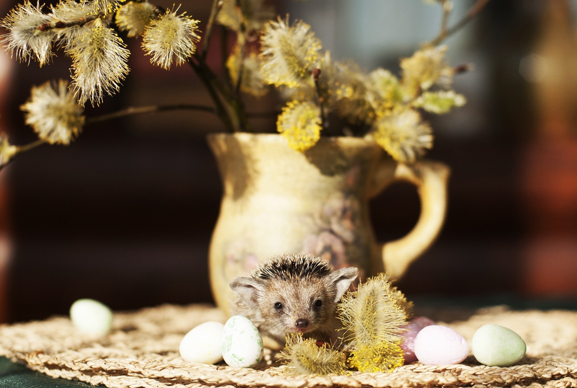 animals, vase, hedgehog, pussy willow, verba, quail eggs