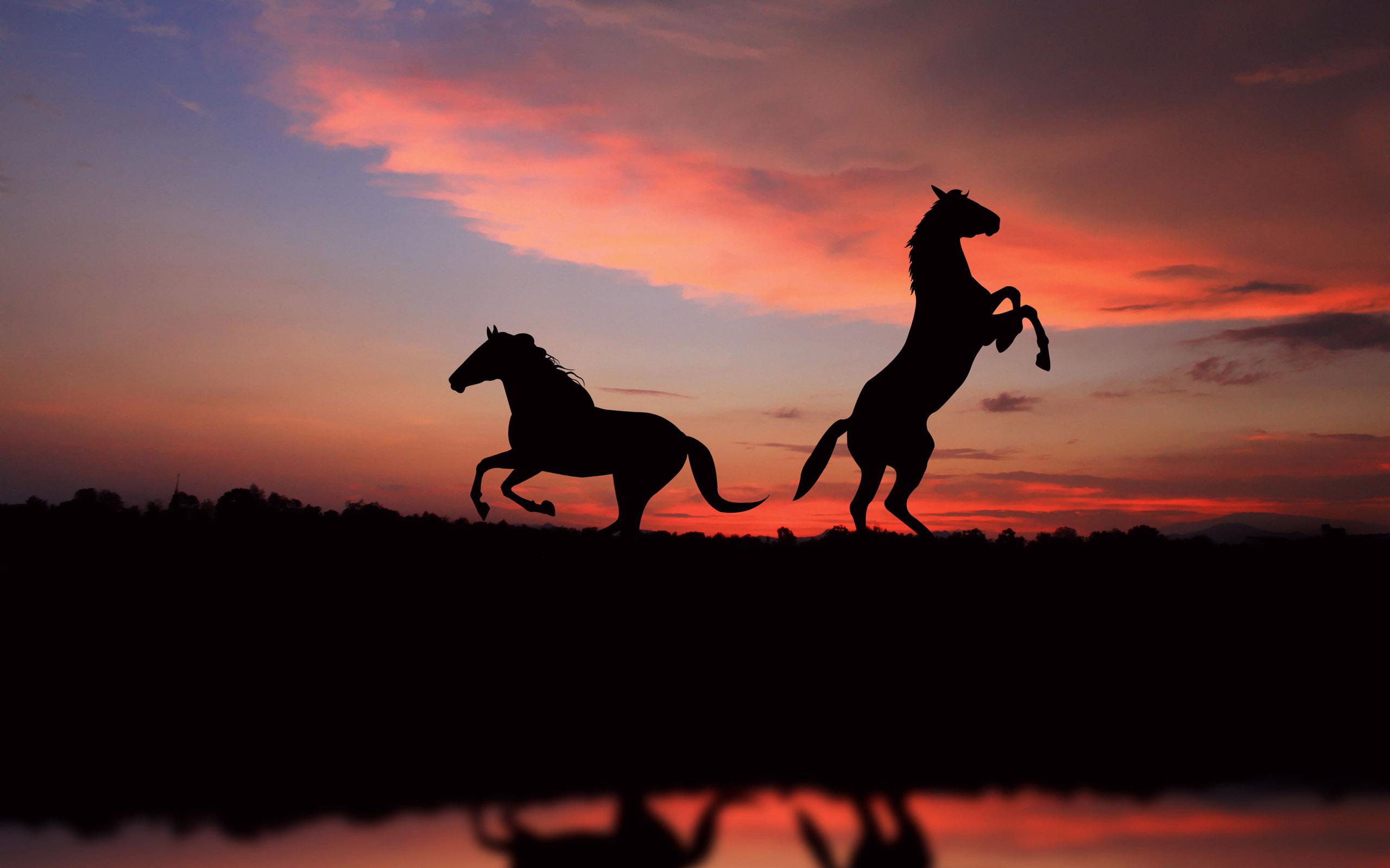 Téléchargez gratuitement l'image Animaux, Réflexion, Silhouette, Cheval, Le Coucher Du Soleil sur le bureau de votre PC