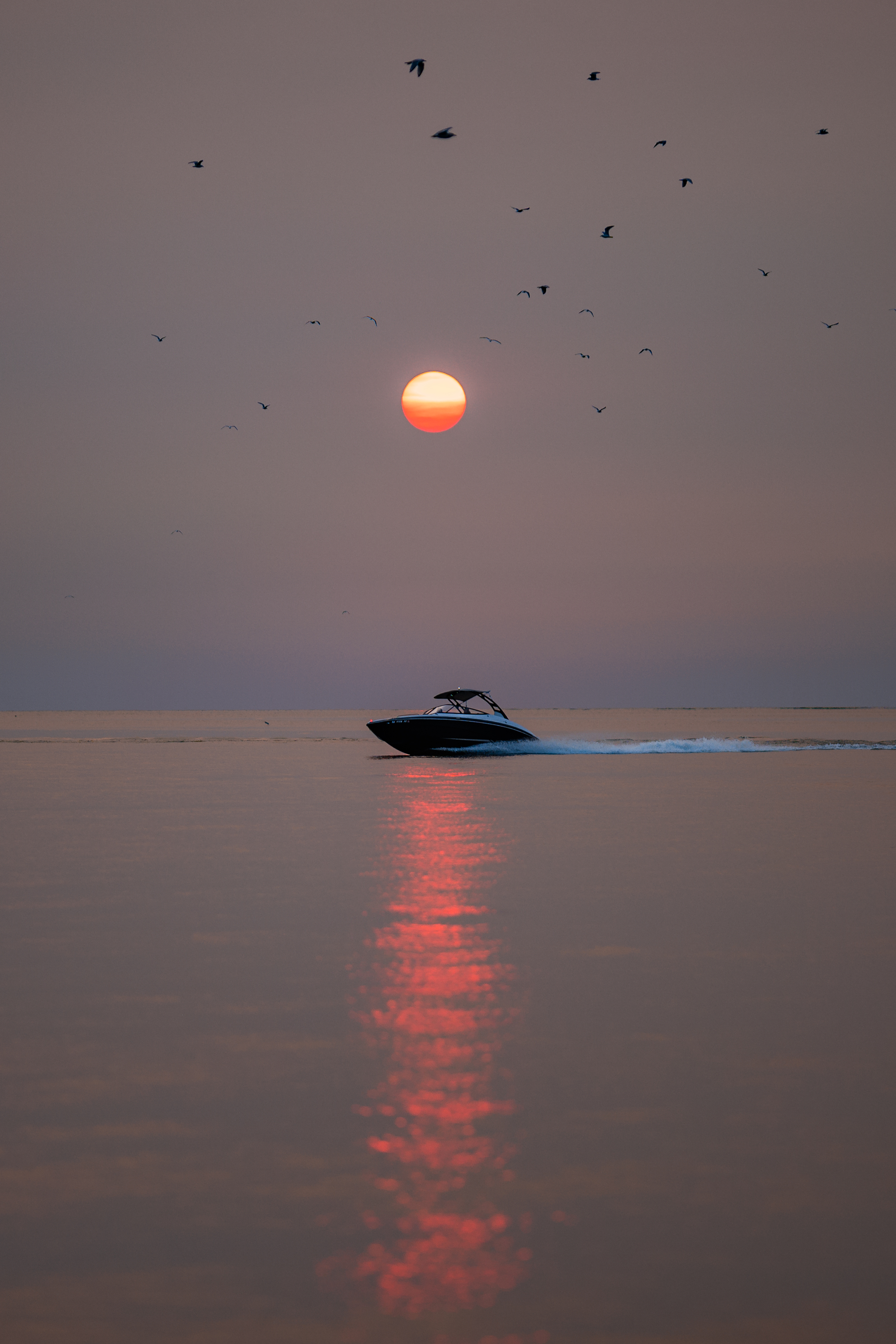 Laden Sie das Ein Boot, Sun, Sonstige, Boot, Blendung, Verschiedenes, Vögel, Sunset-Bild kostenlos auf Ihren PC-Desktop herunter