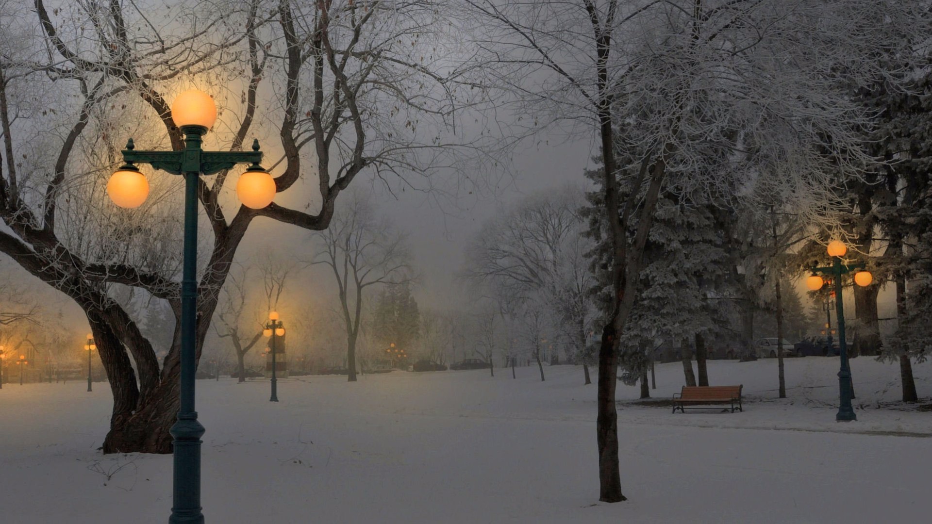 Скачать обои бесплатно Зима, Ночь, Снег, Парк, Дерево, Скамья, Фотографии, Легкий картинка на рабочий стол ПК