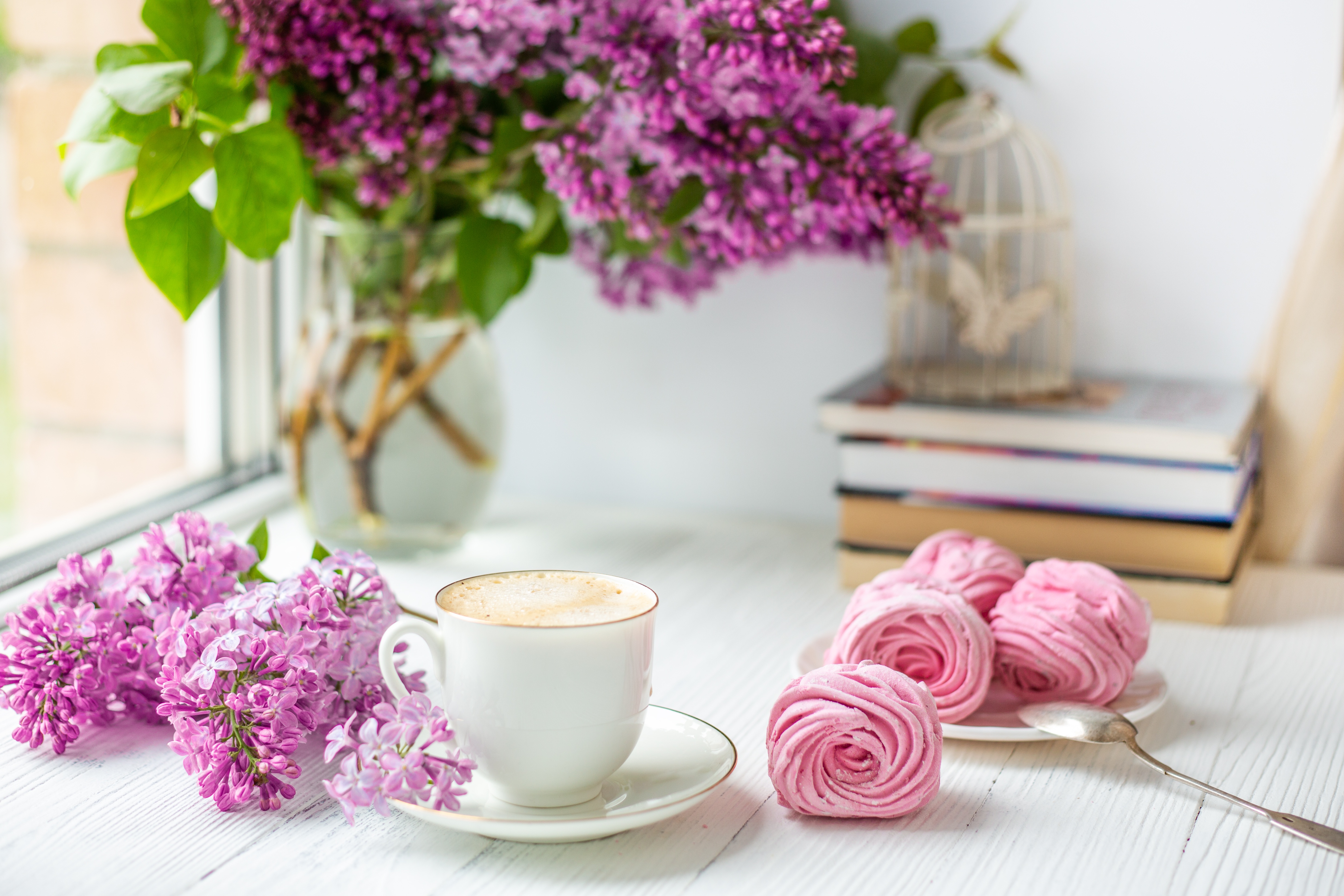 Download mobile wallpaper Food, Lilac, Coffee, Still Life, Flower, Book, Pink Flower for free.