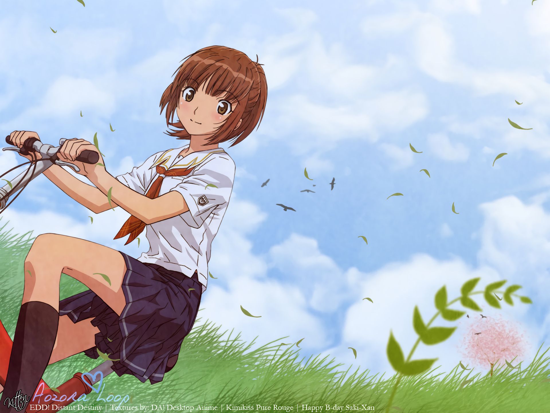 764221 Bild herunterladen animes, kimikisu: pyua rûju - Hintergrundbilder und Bildschirmschoner kostenlos