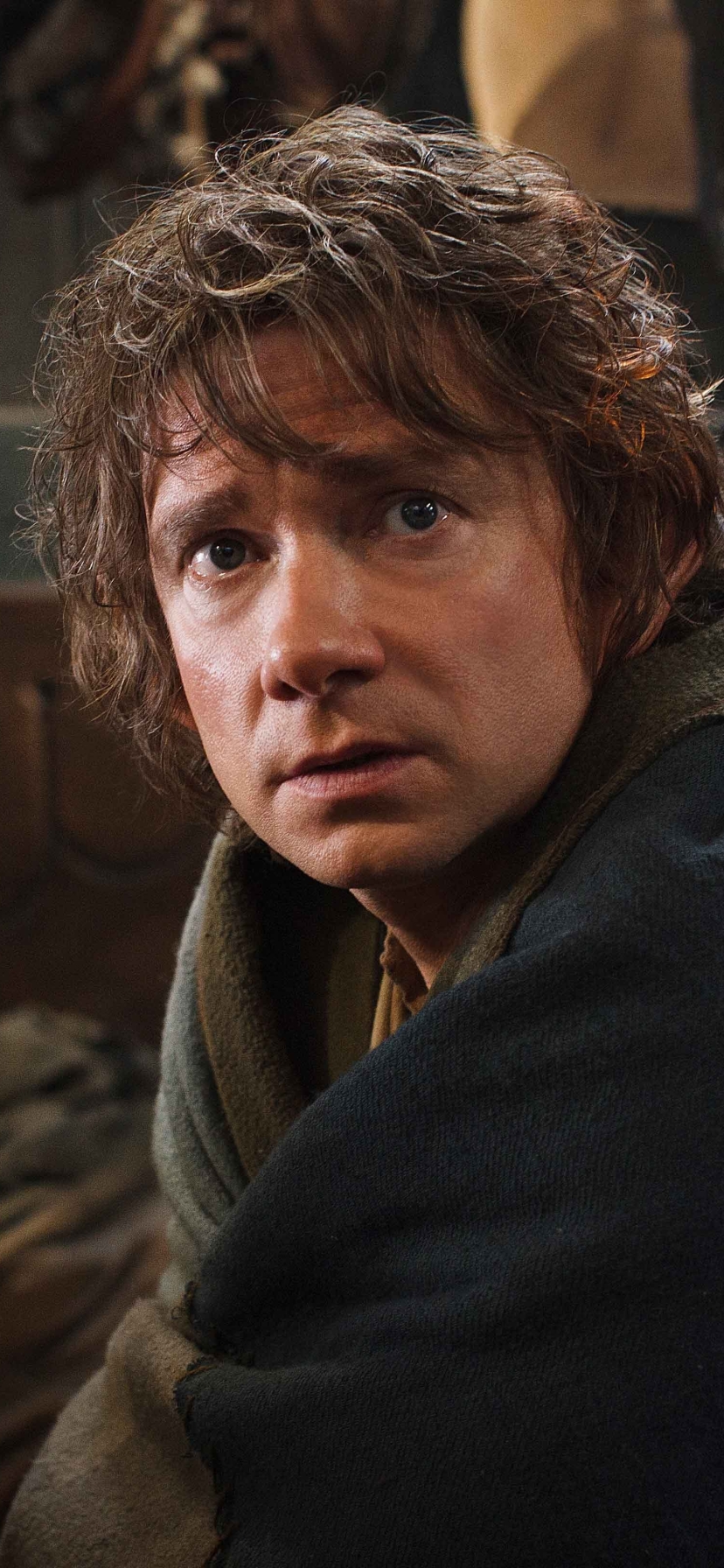 Download mobile wallpaper Movie, The Lord Of The Rings, The Hobbit: The Desolation Of Smaug, Martin Freeman for free.